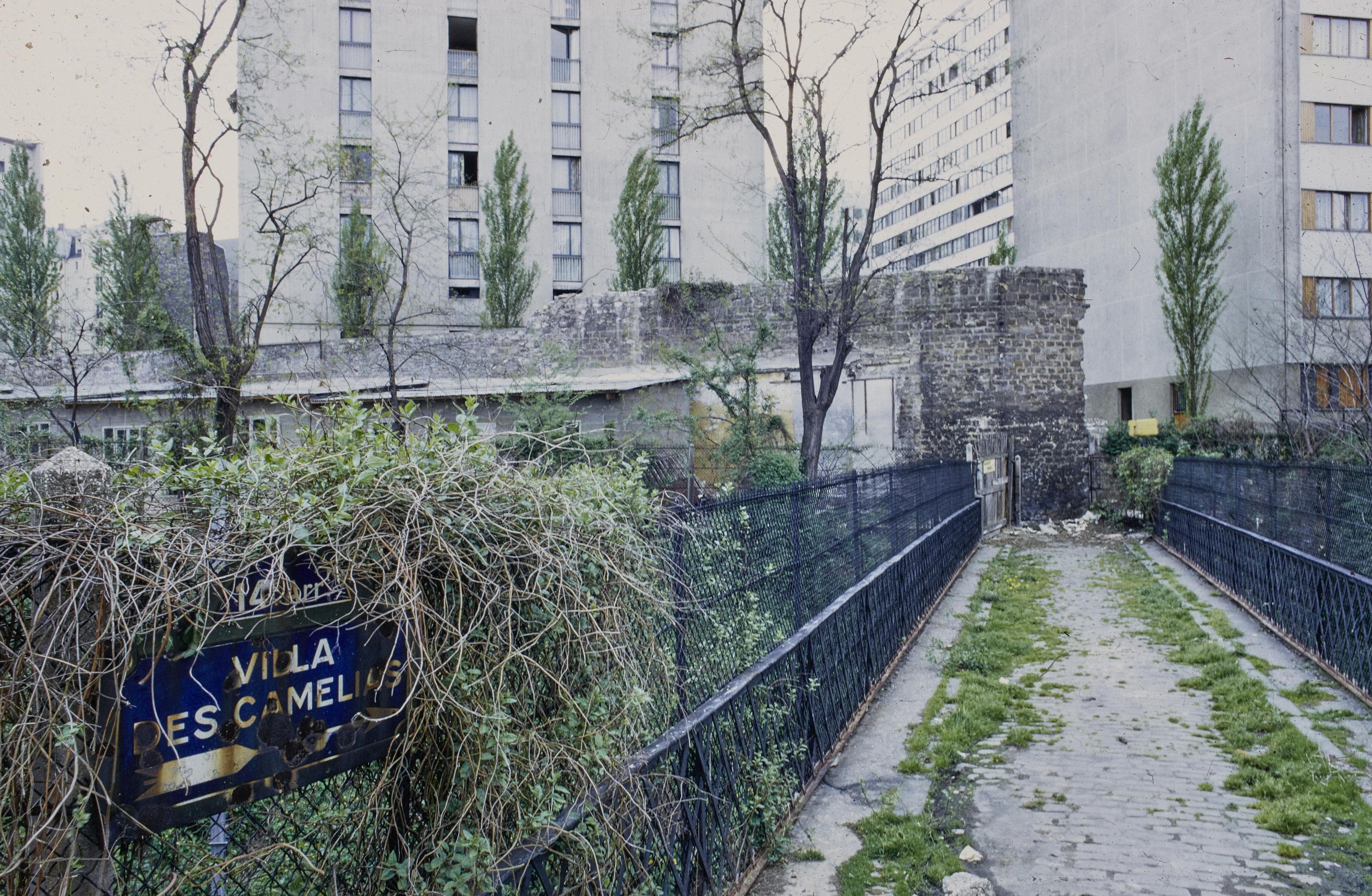 Photo d'archive