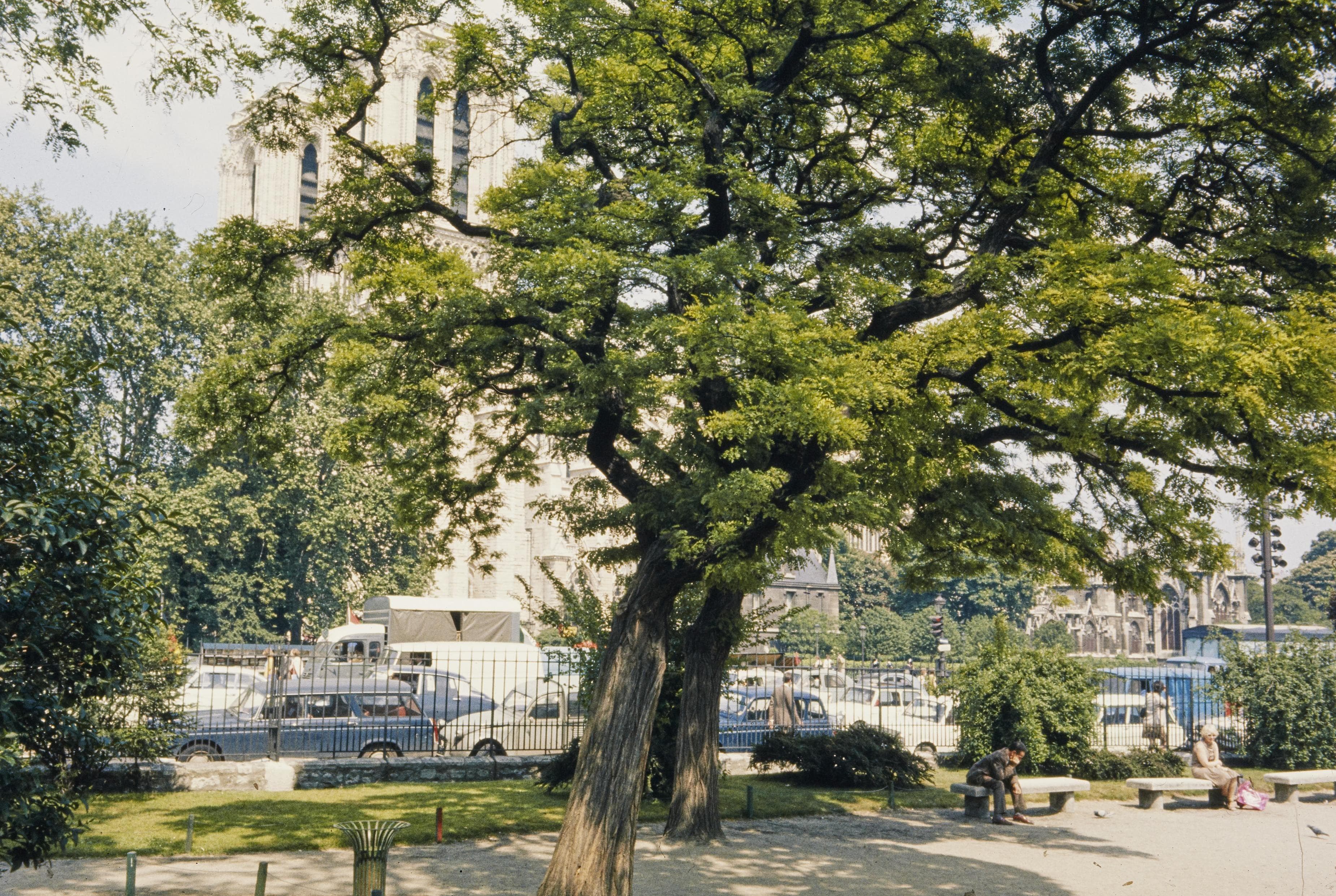 Photo d'archive