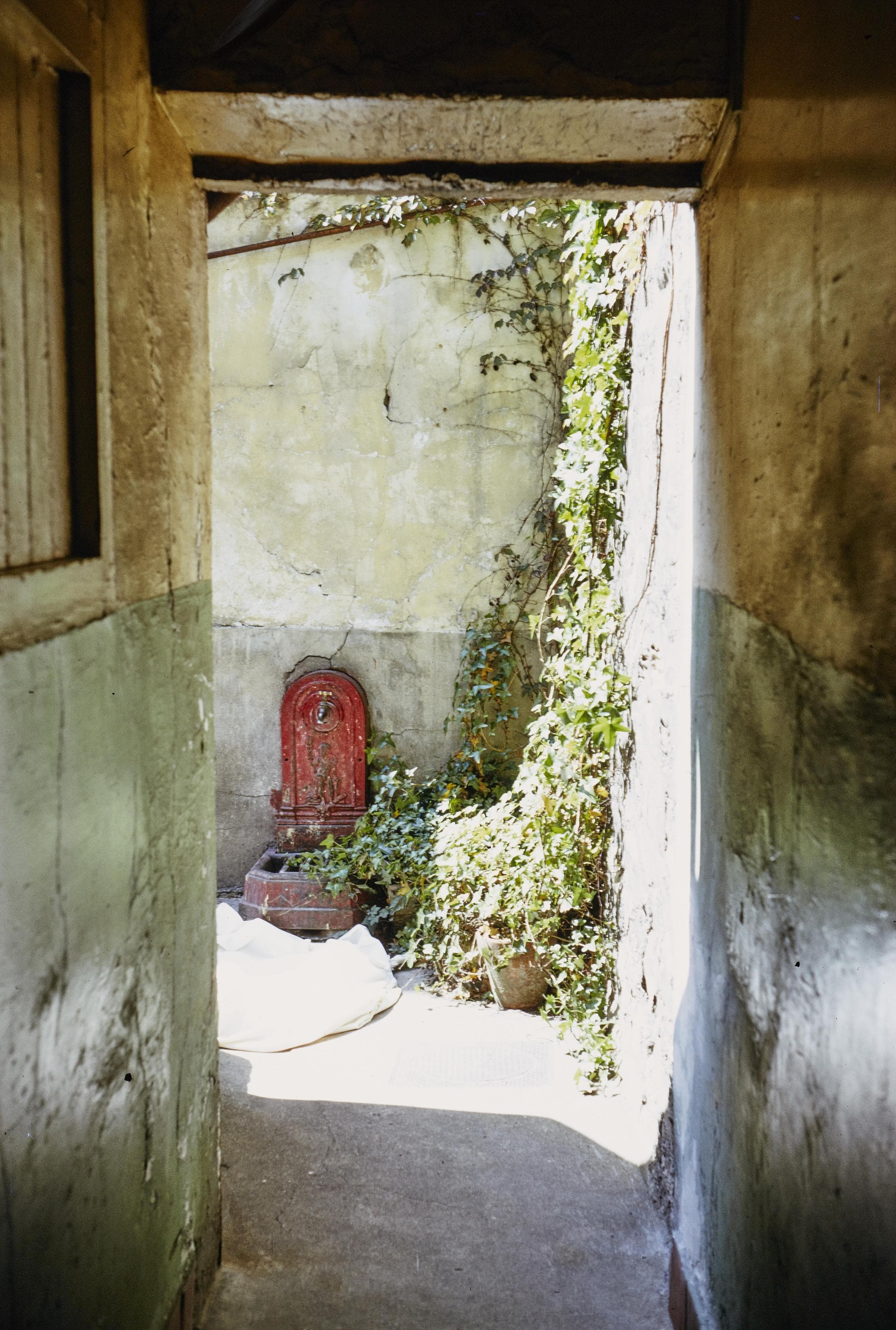 Photo d'archive
