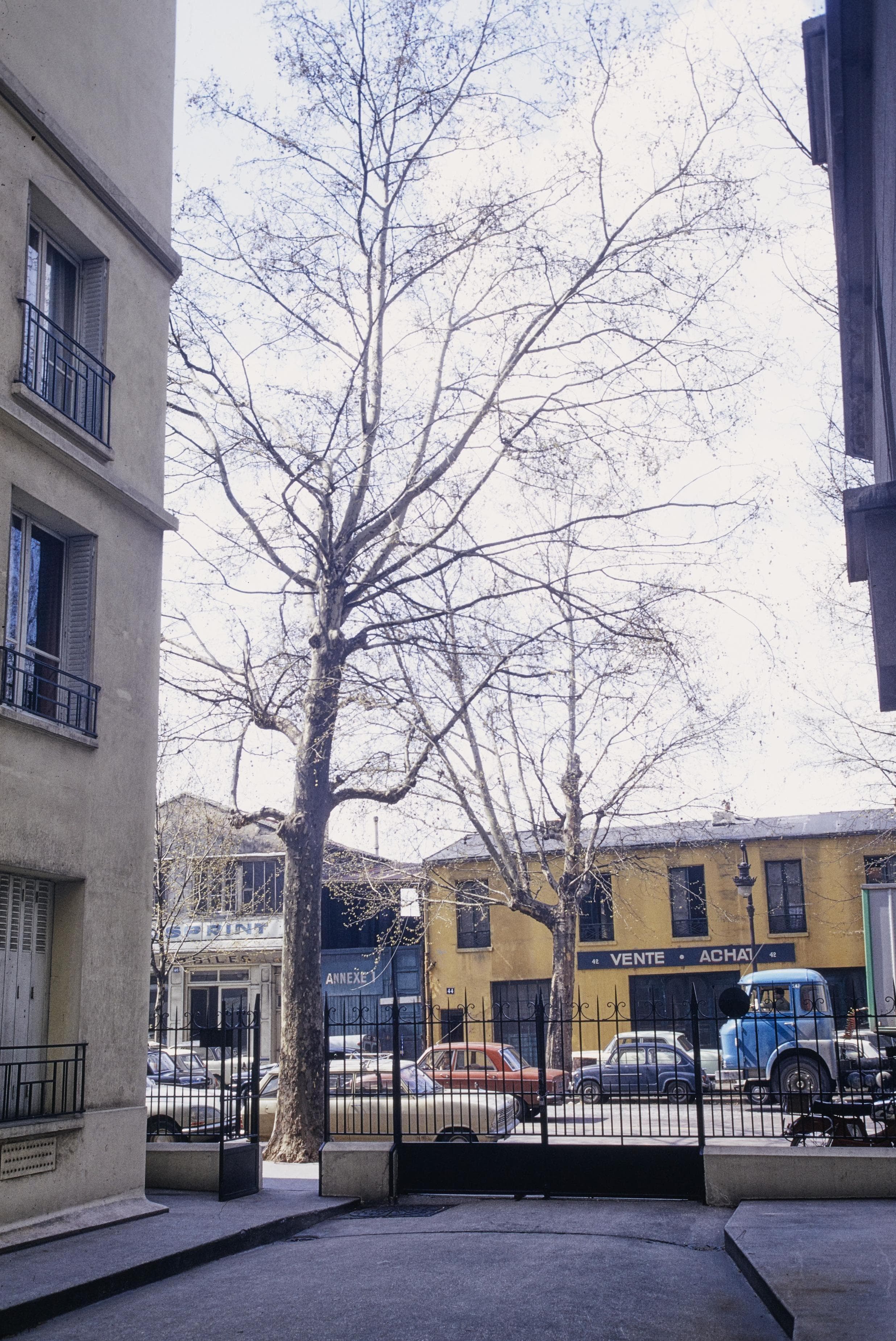 Photo d'archive