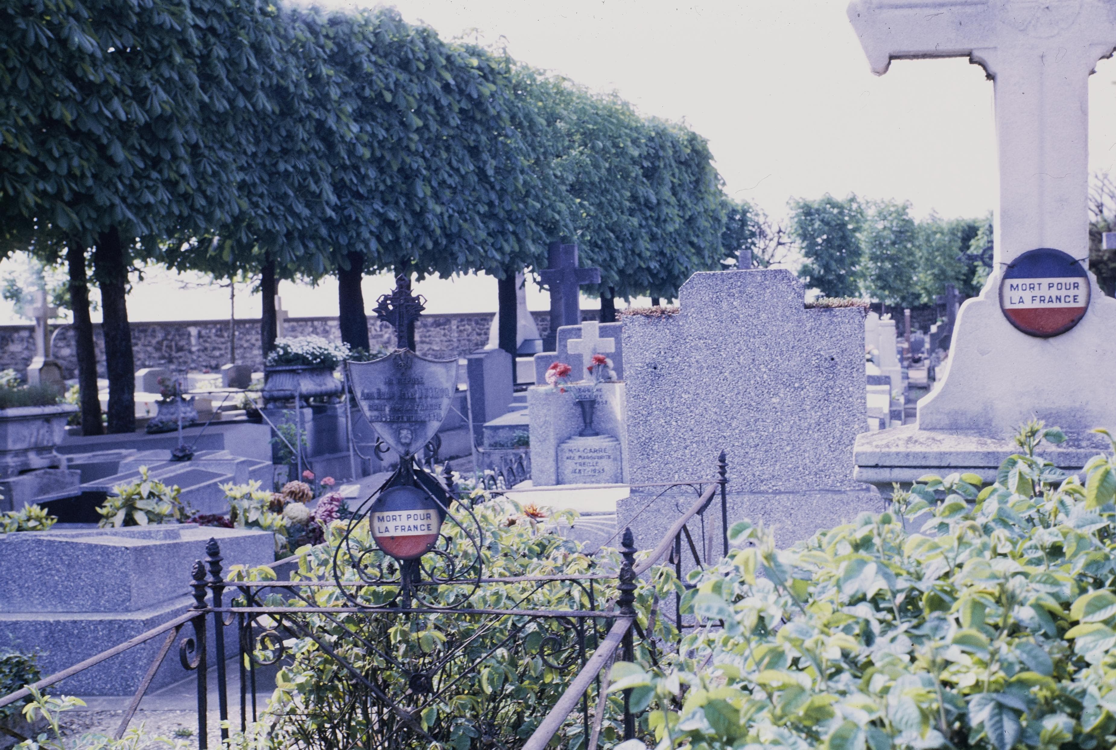 Photo d'archive