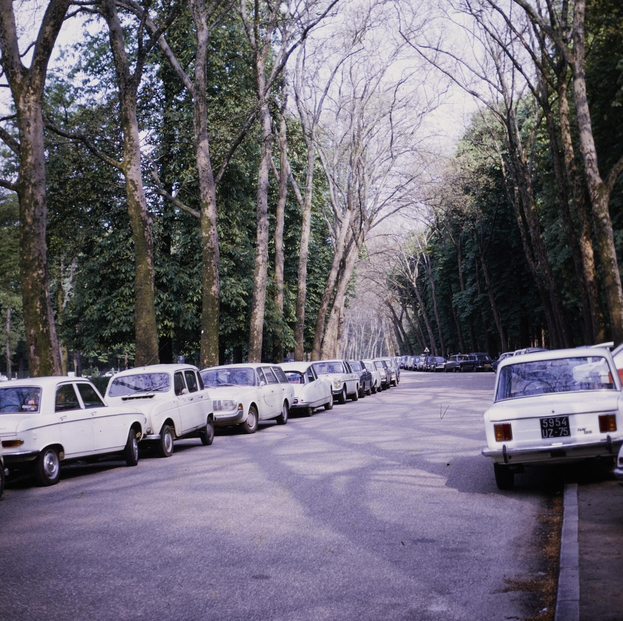Photo d'archive