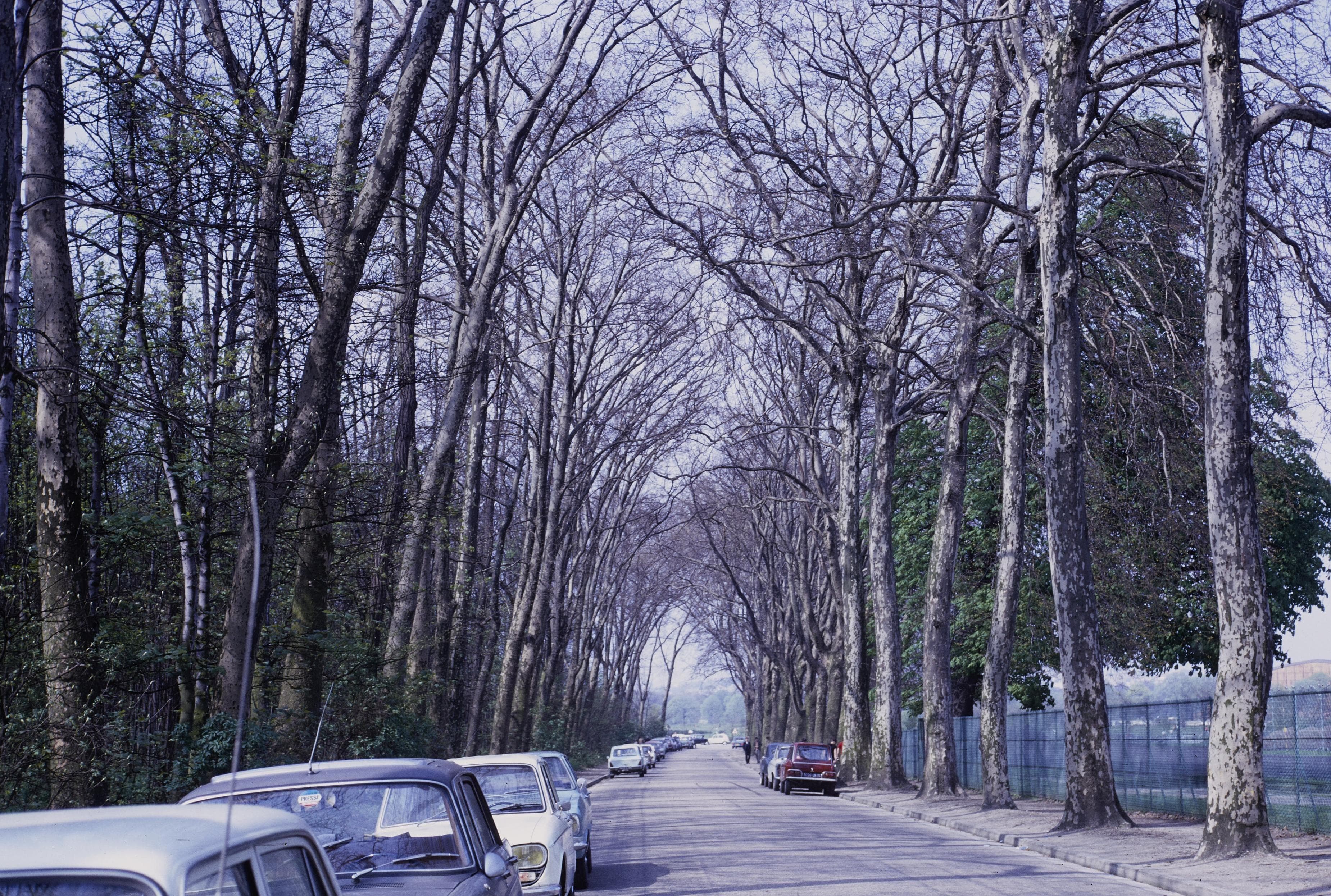 Photo d'archive