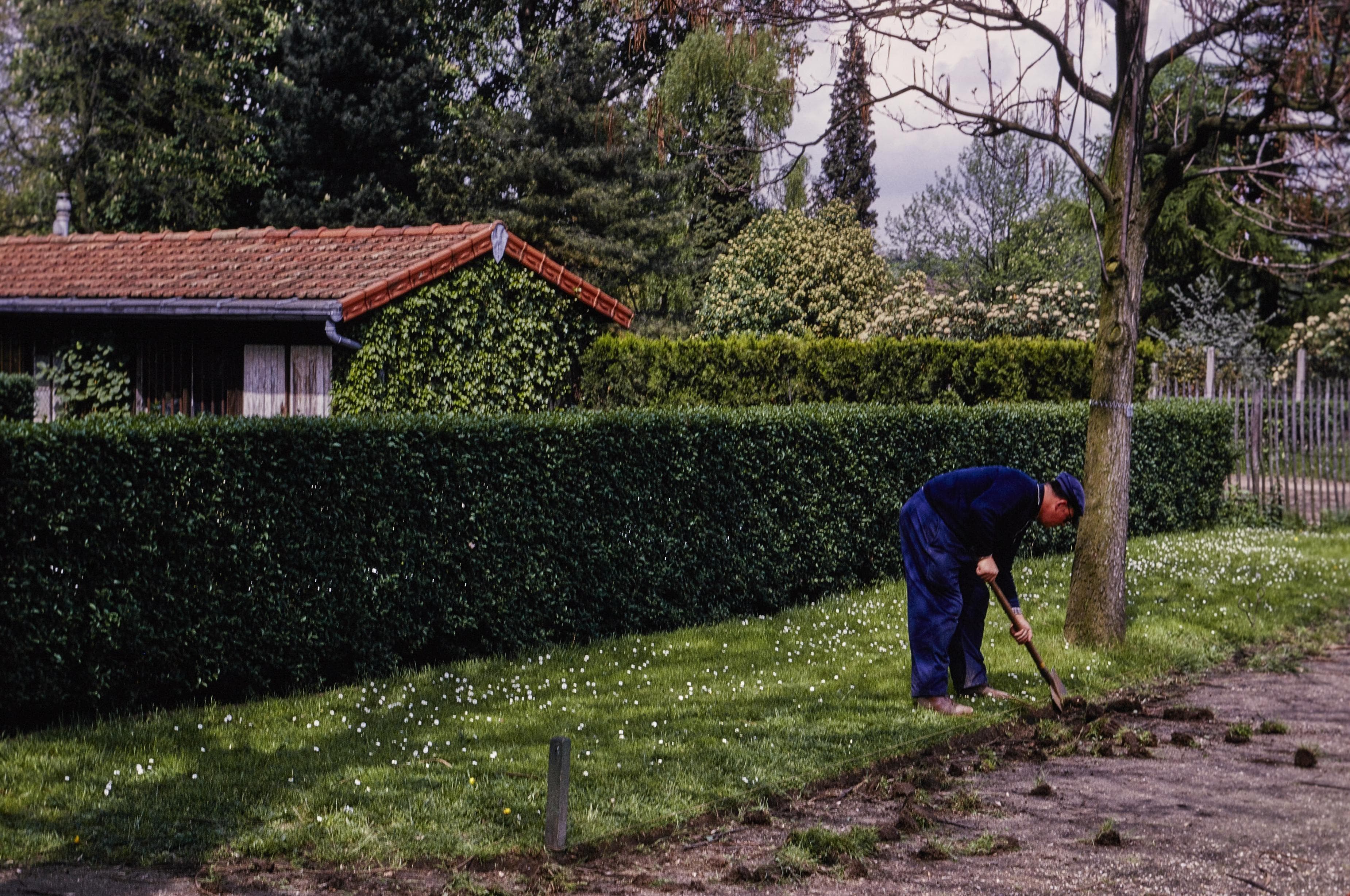 Photo d'archive