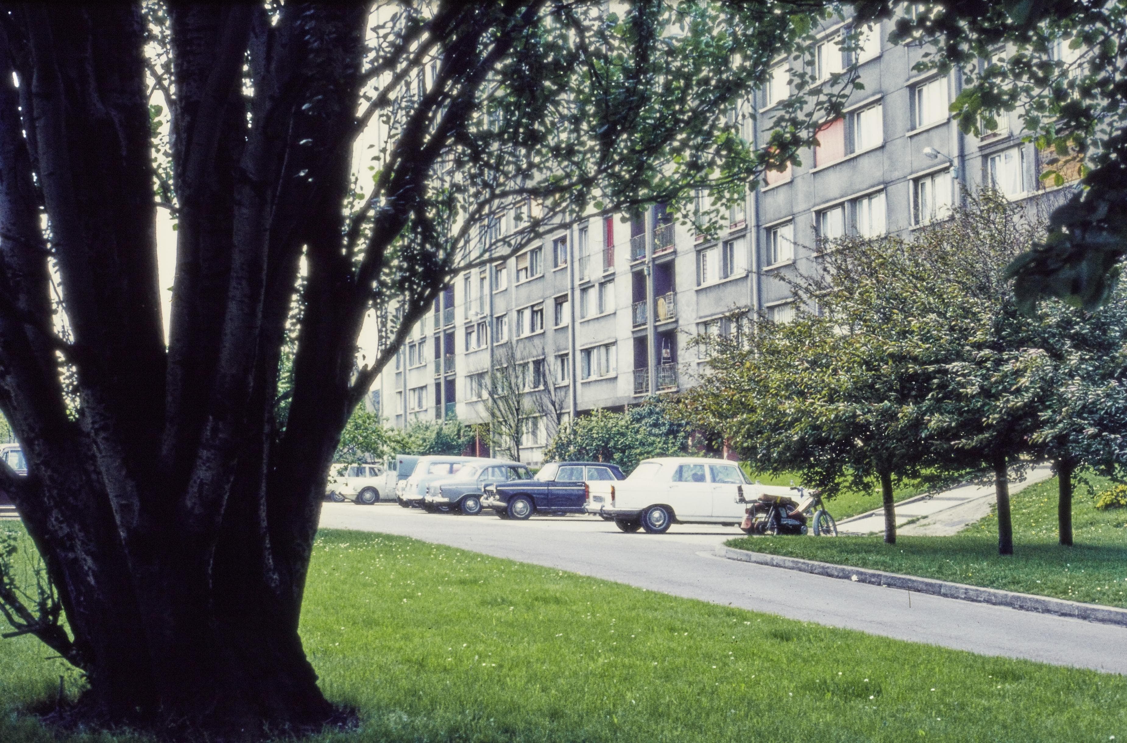 Photo d'archive