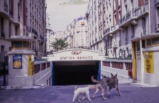 Photo d'archive