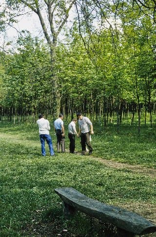 Photo d'archive