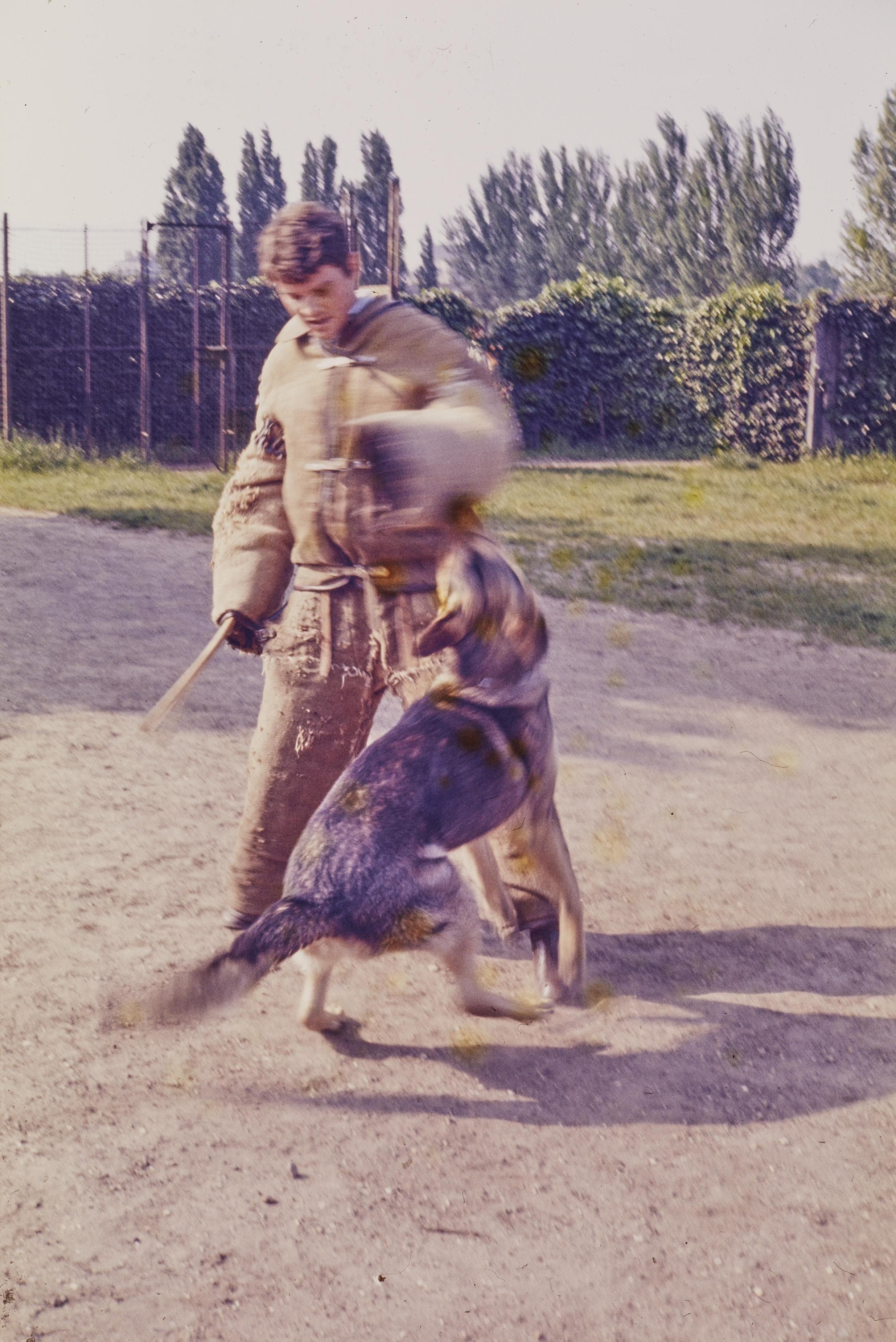 Photo d'archive