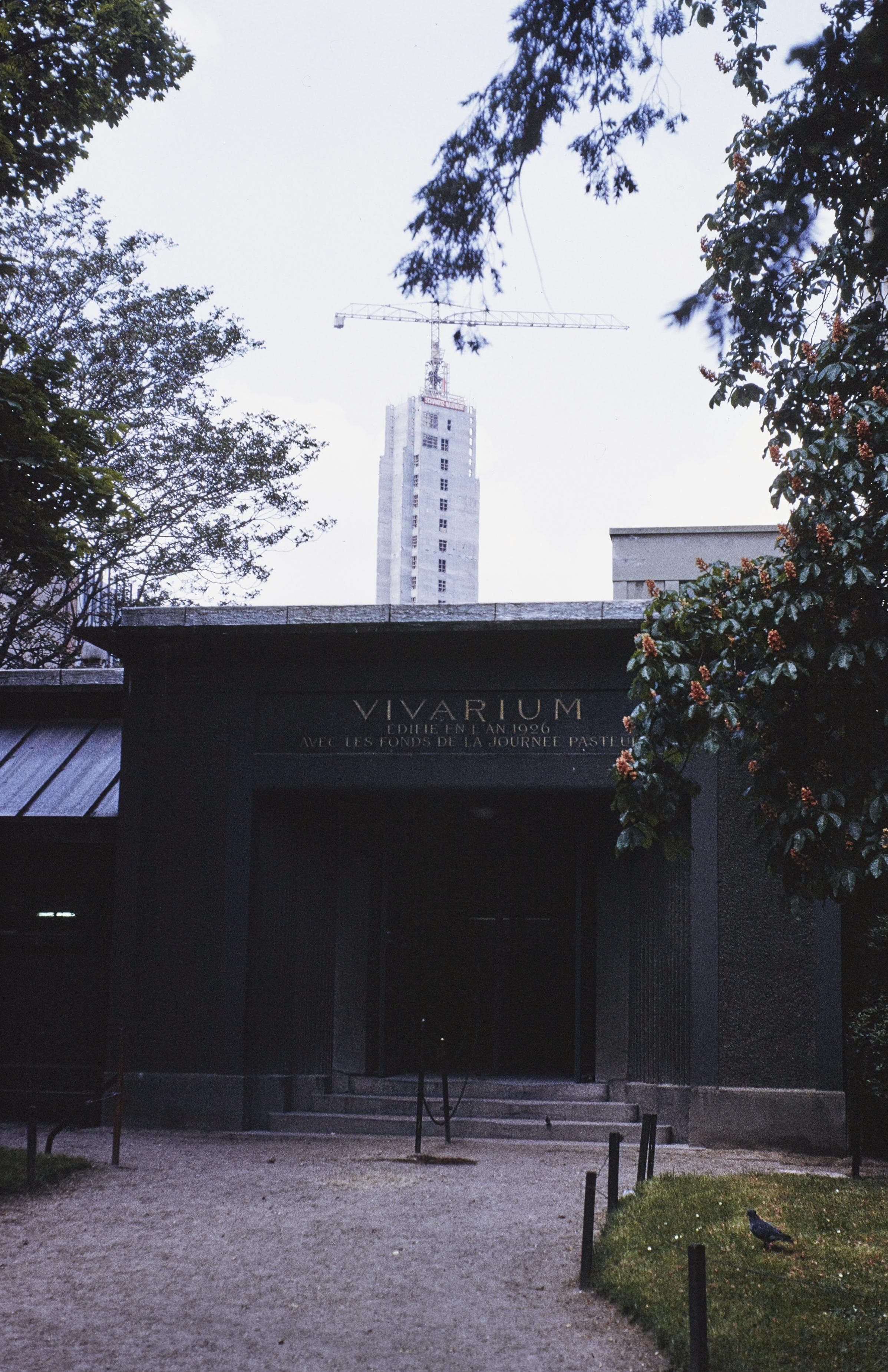 Photo d'archive