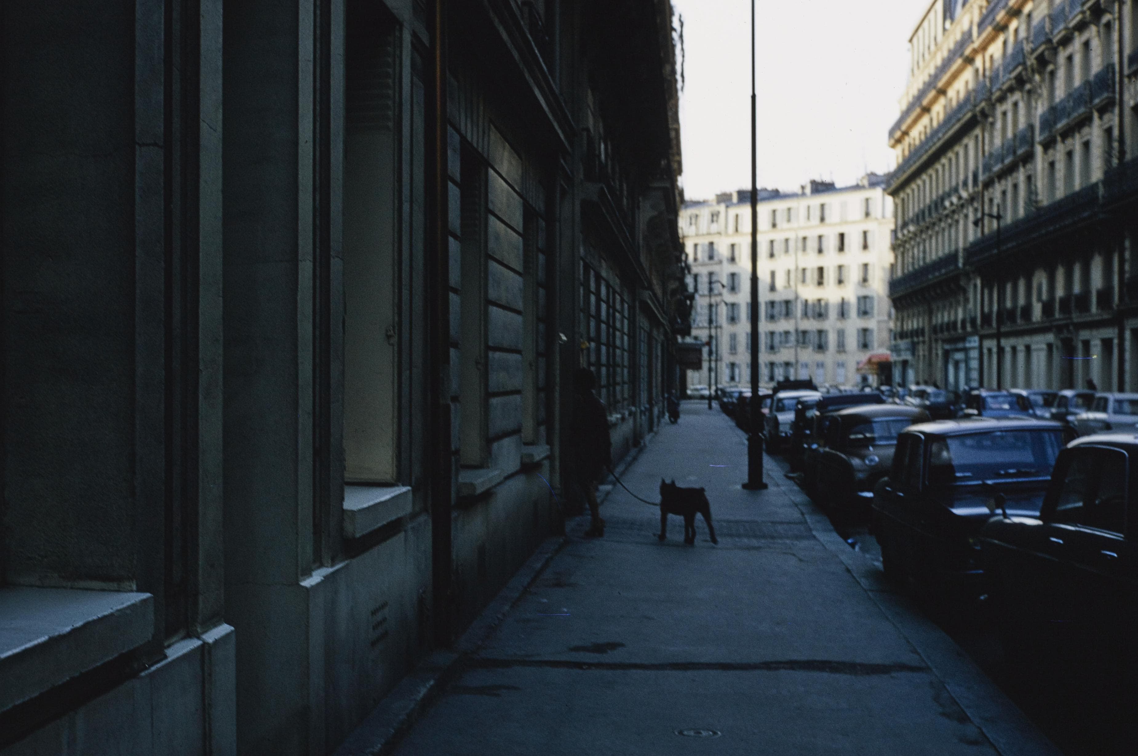Photo d'archive