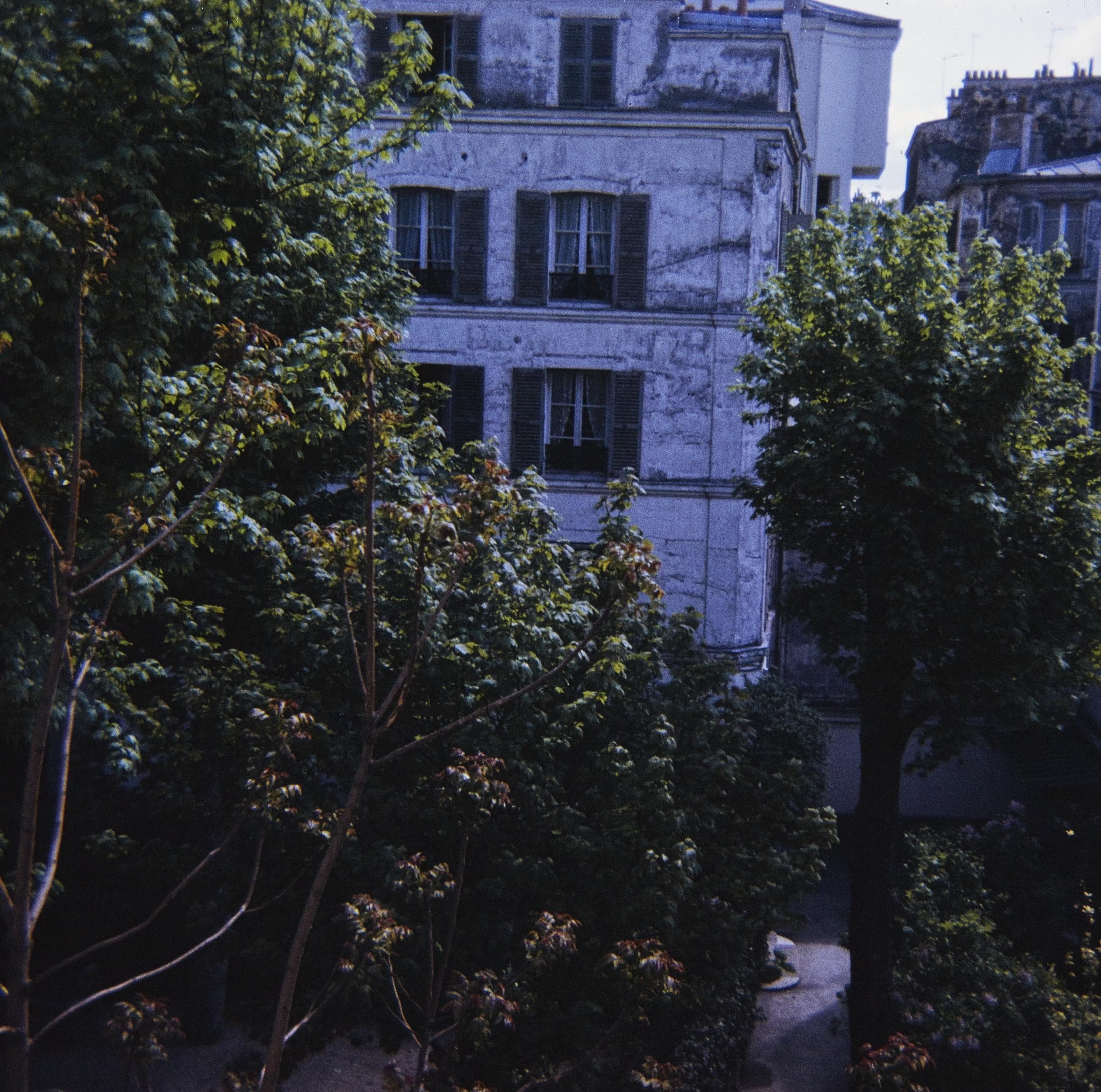 Photo d'archive