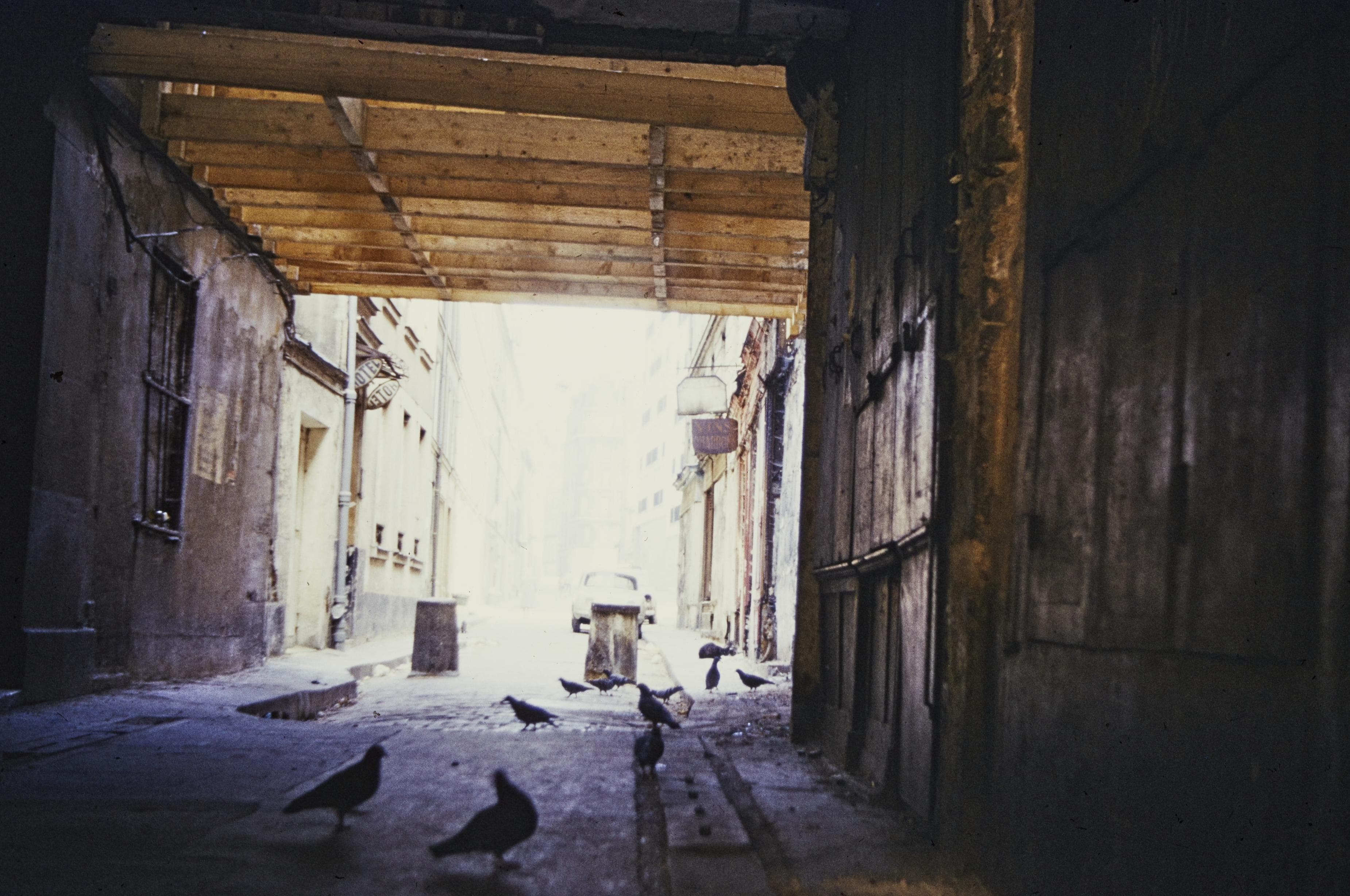 Photo d'archive