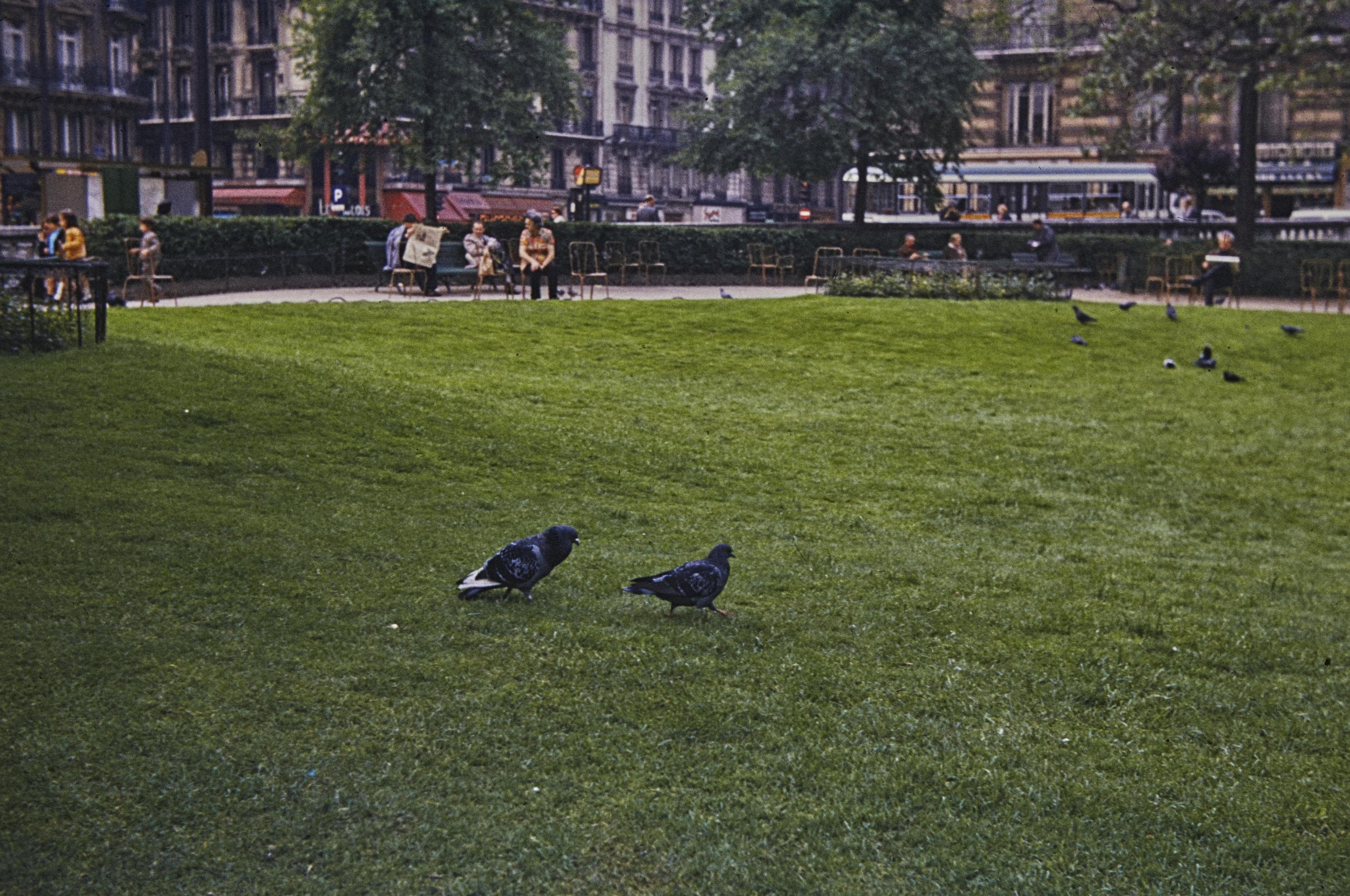 Photo d'archive