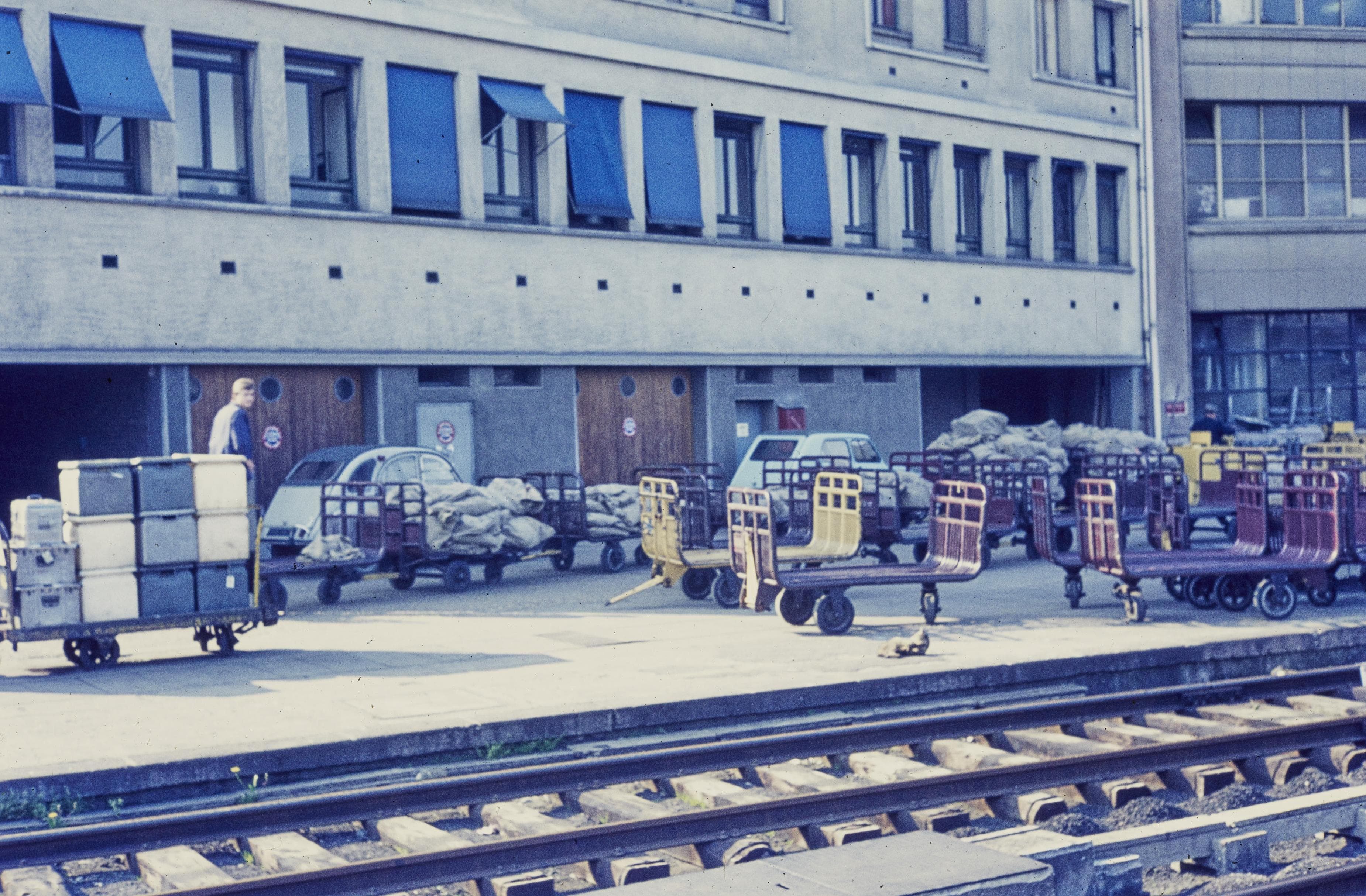 Photo d'archive