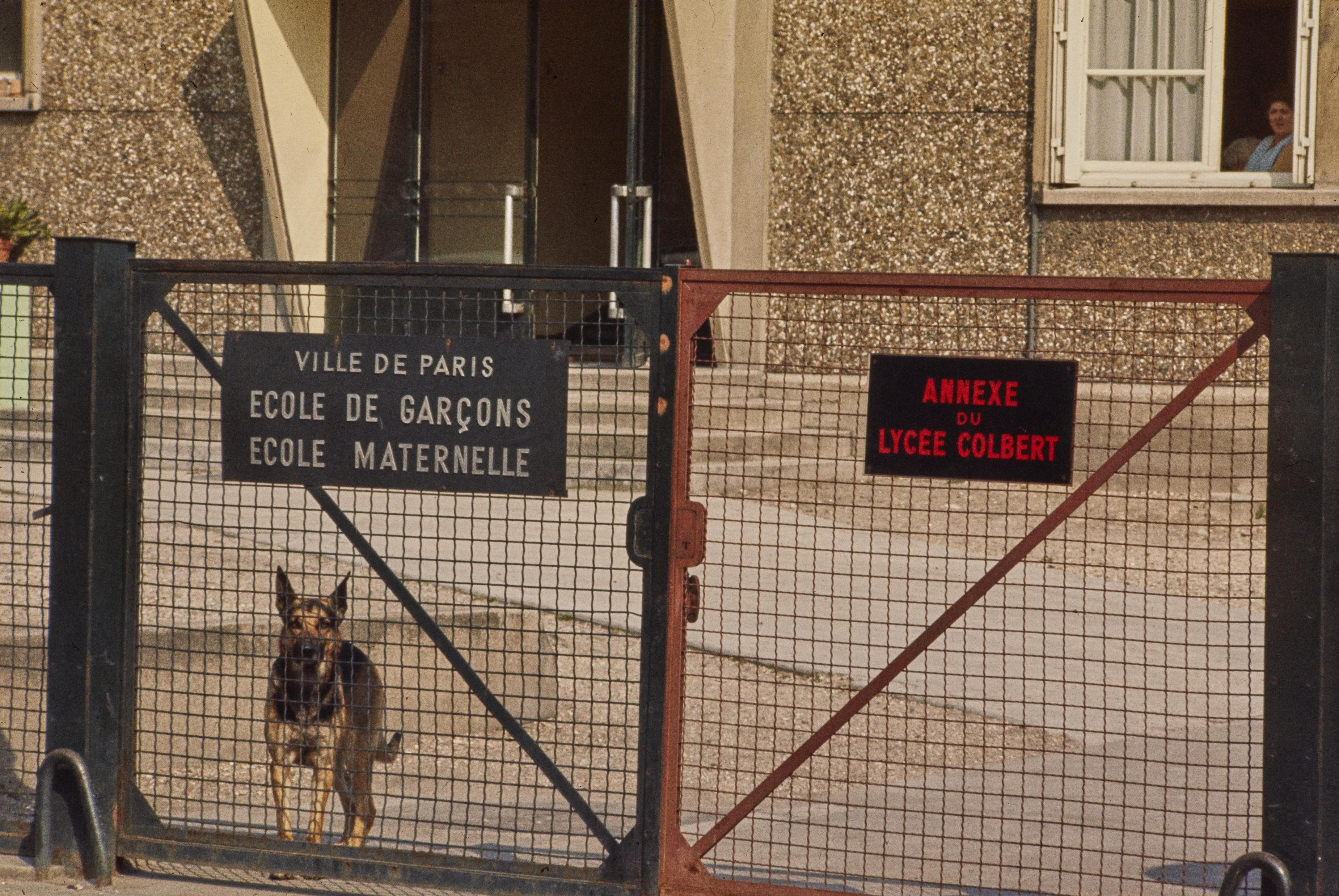Photo d'archive