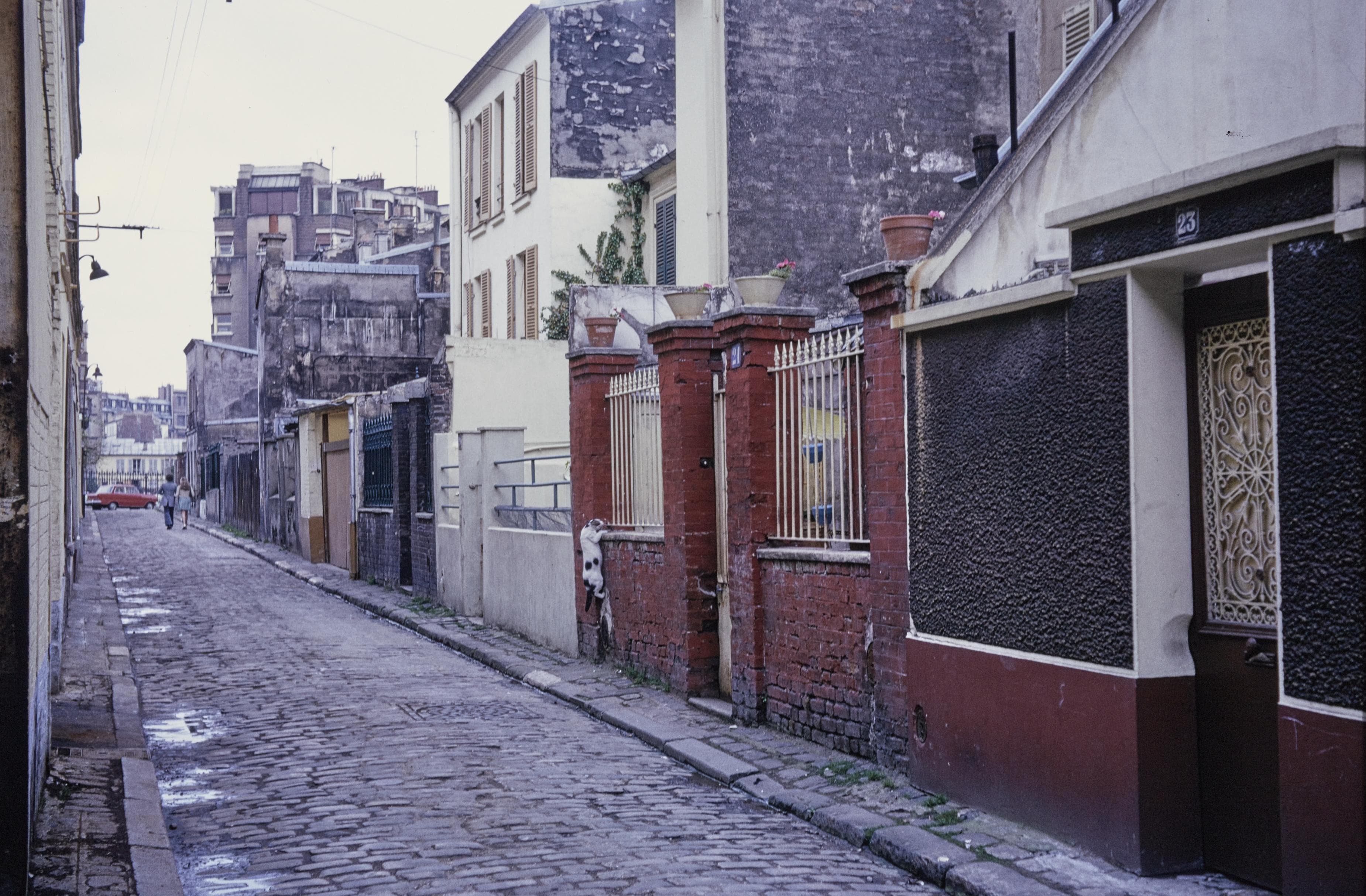 Photo d'archive