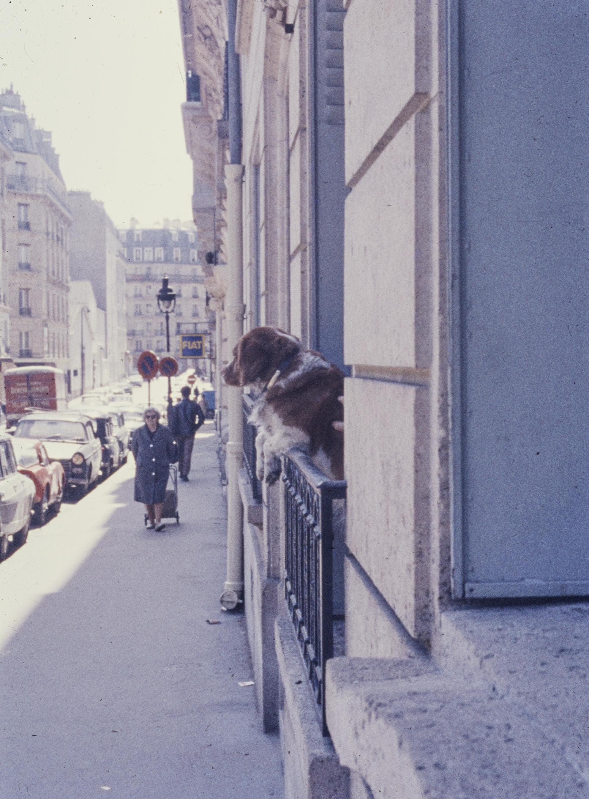 Photo d'archive