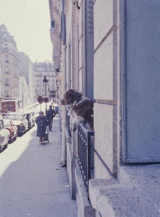 Photo d'archive