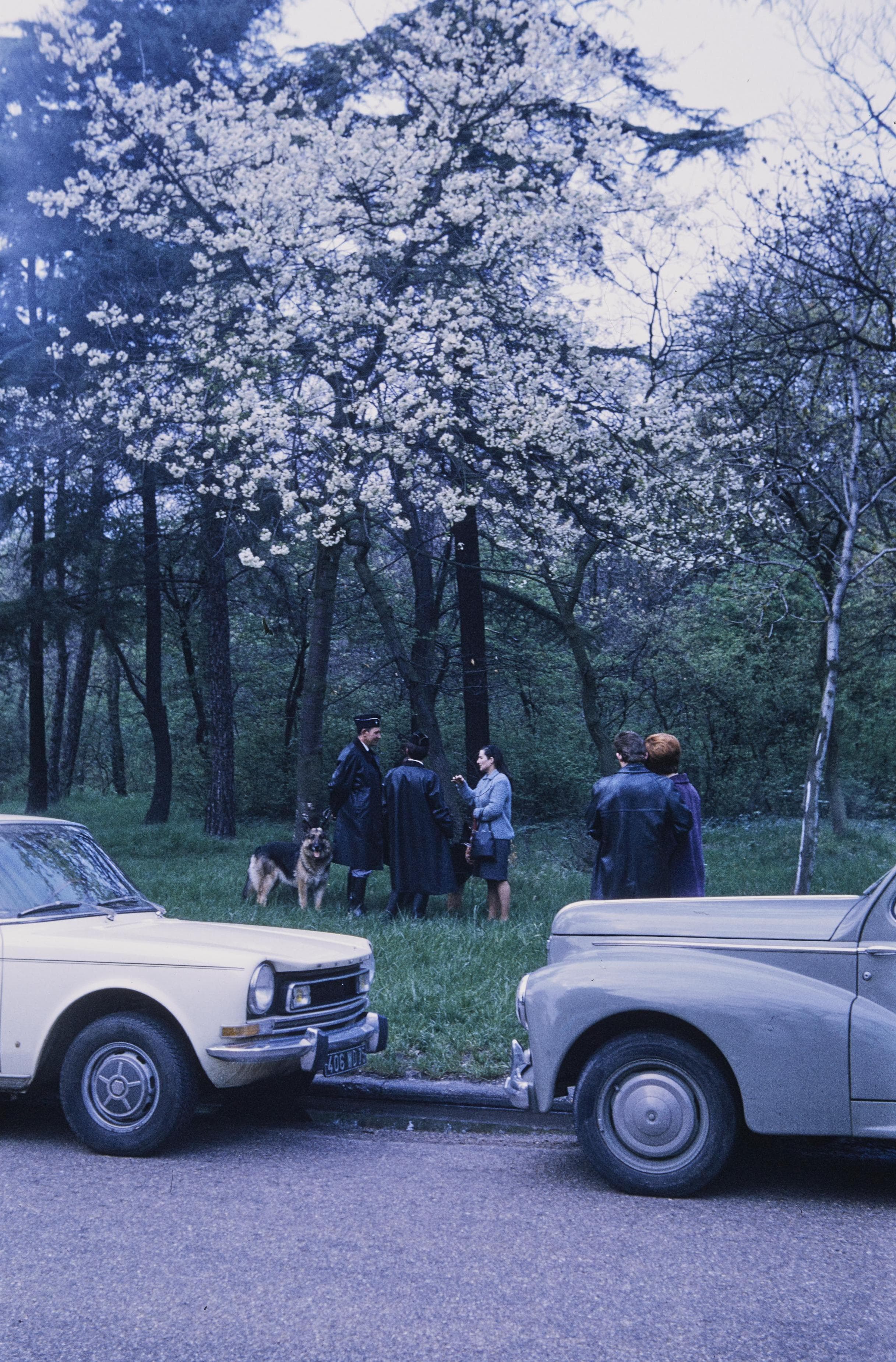 Photo d'archive