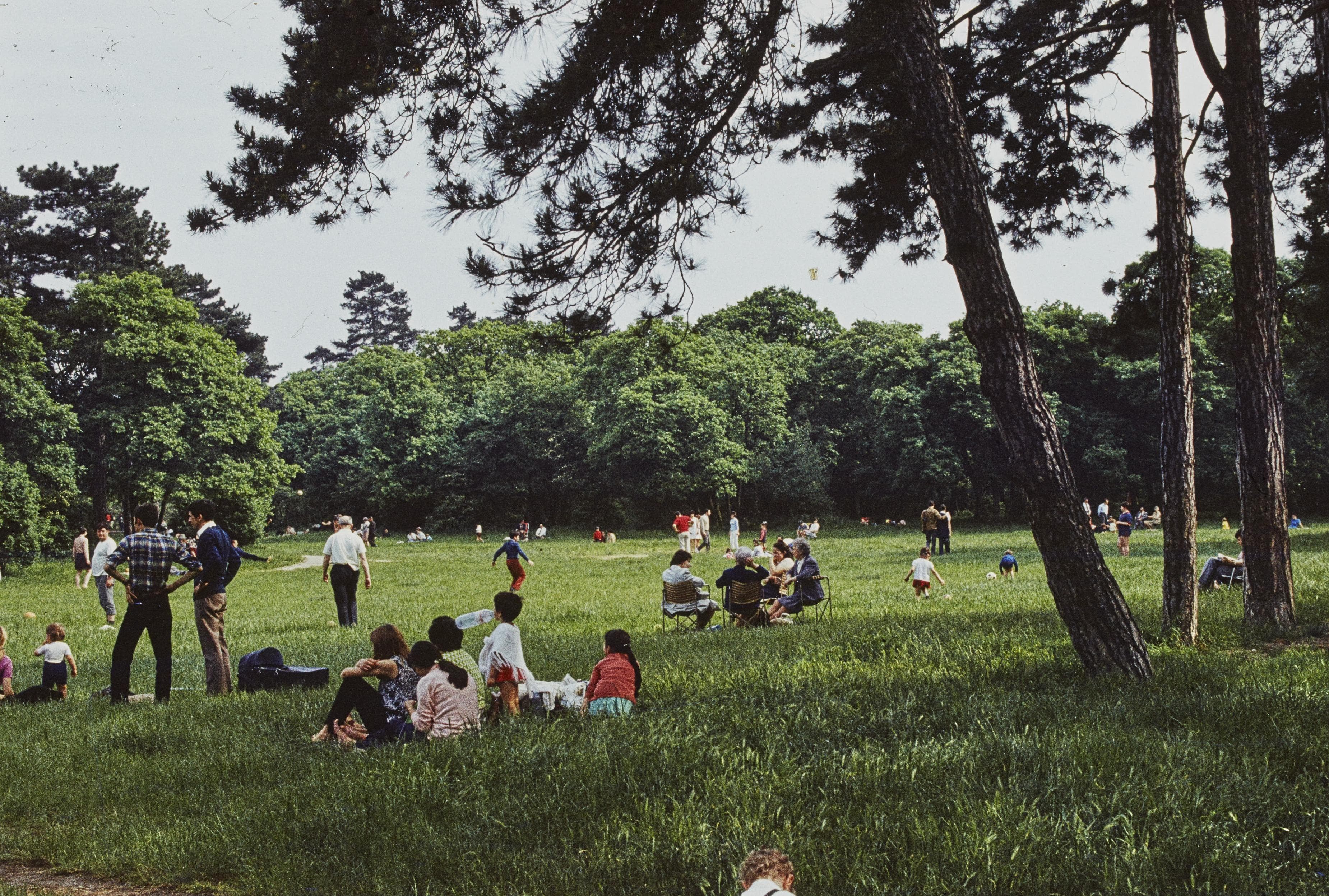 Photo d'archive