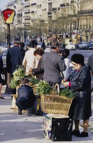 Photo d'archive