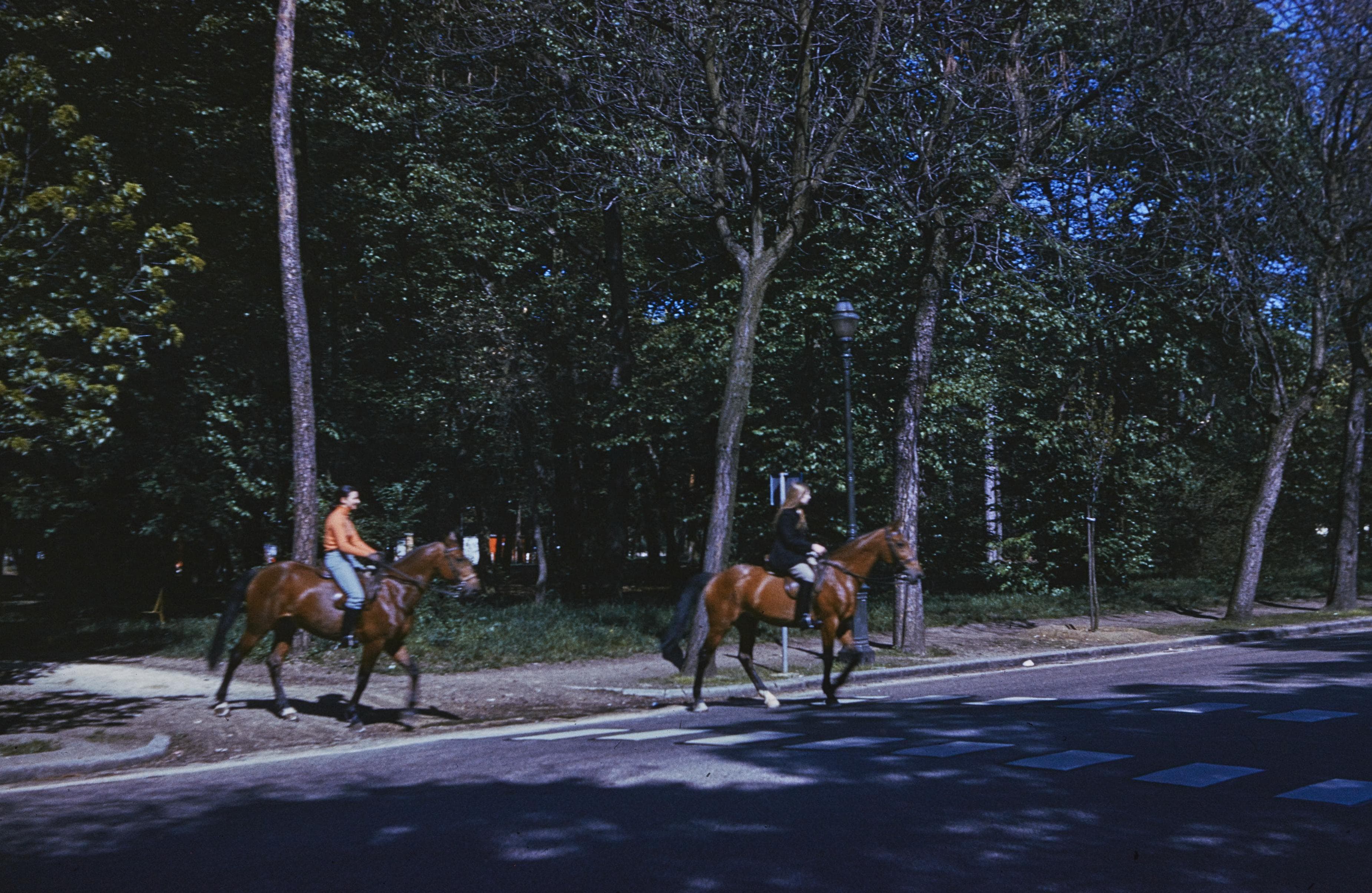 Photo d'archive