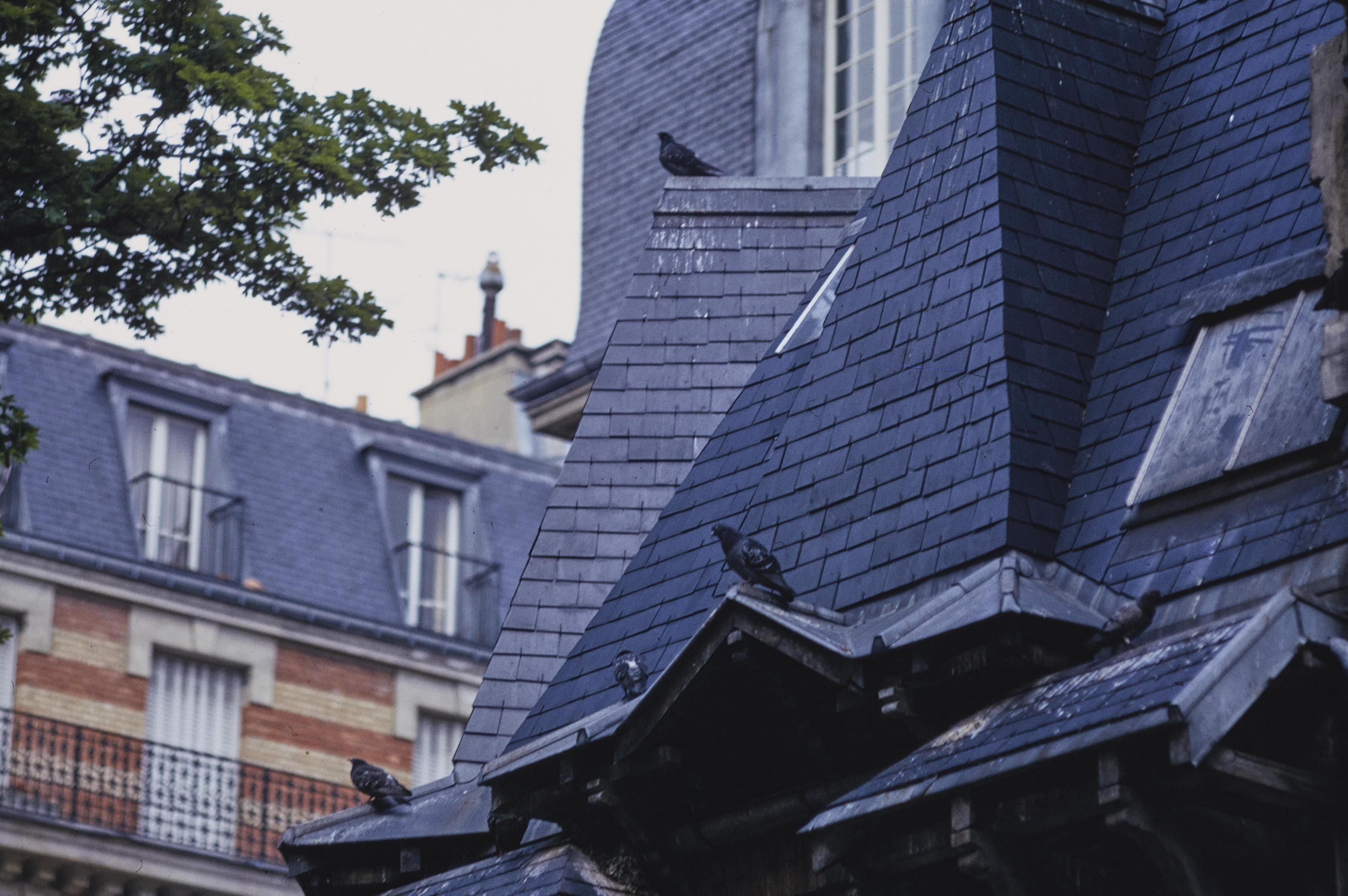 Photo d'archive