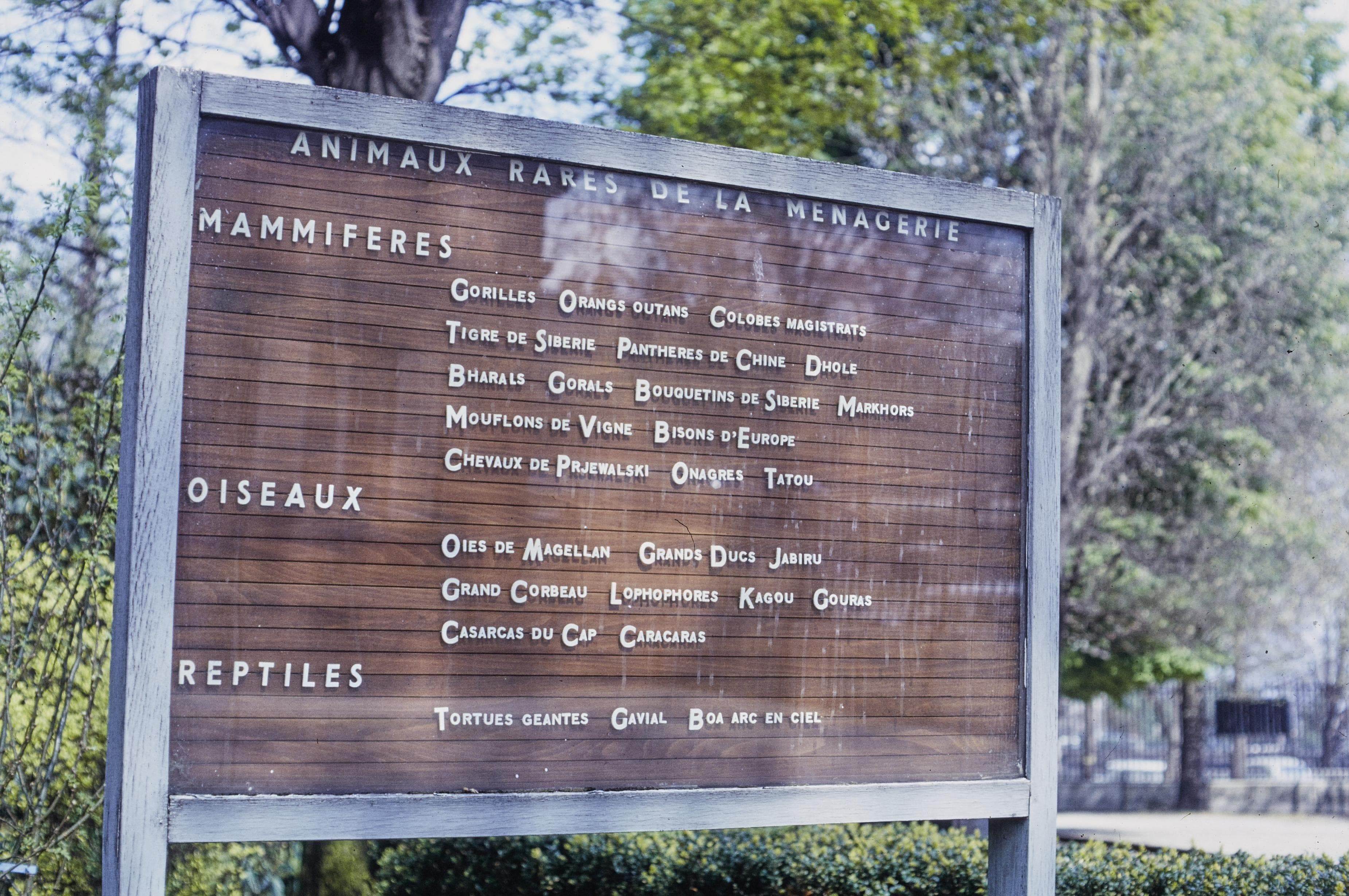 Photo d'archive
