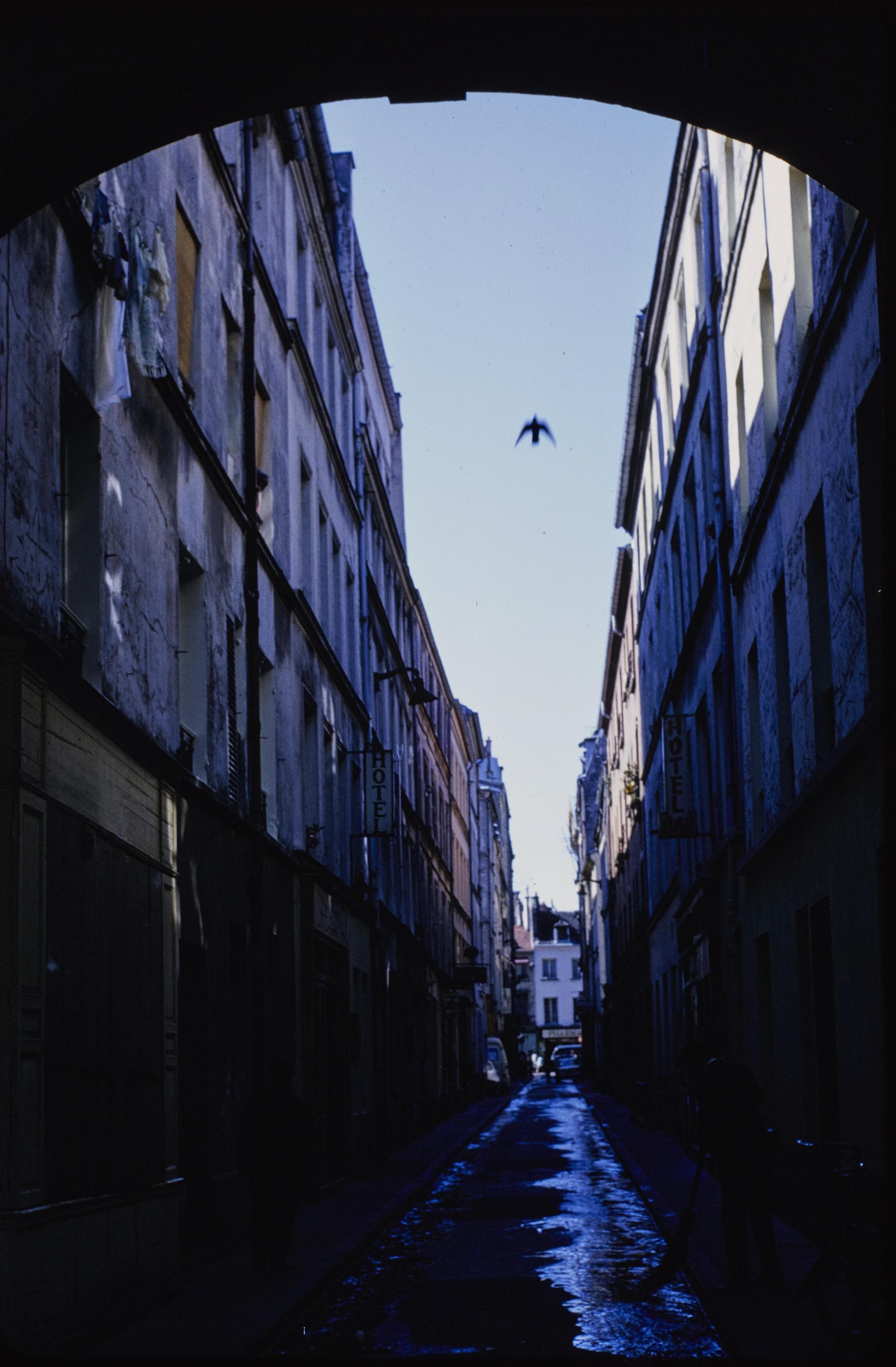 Photo d'archive