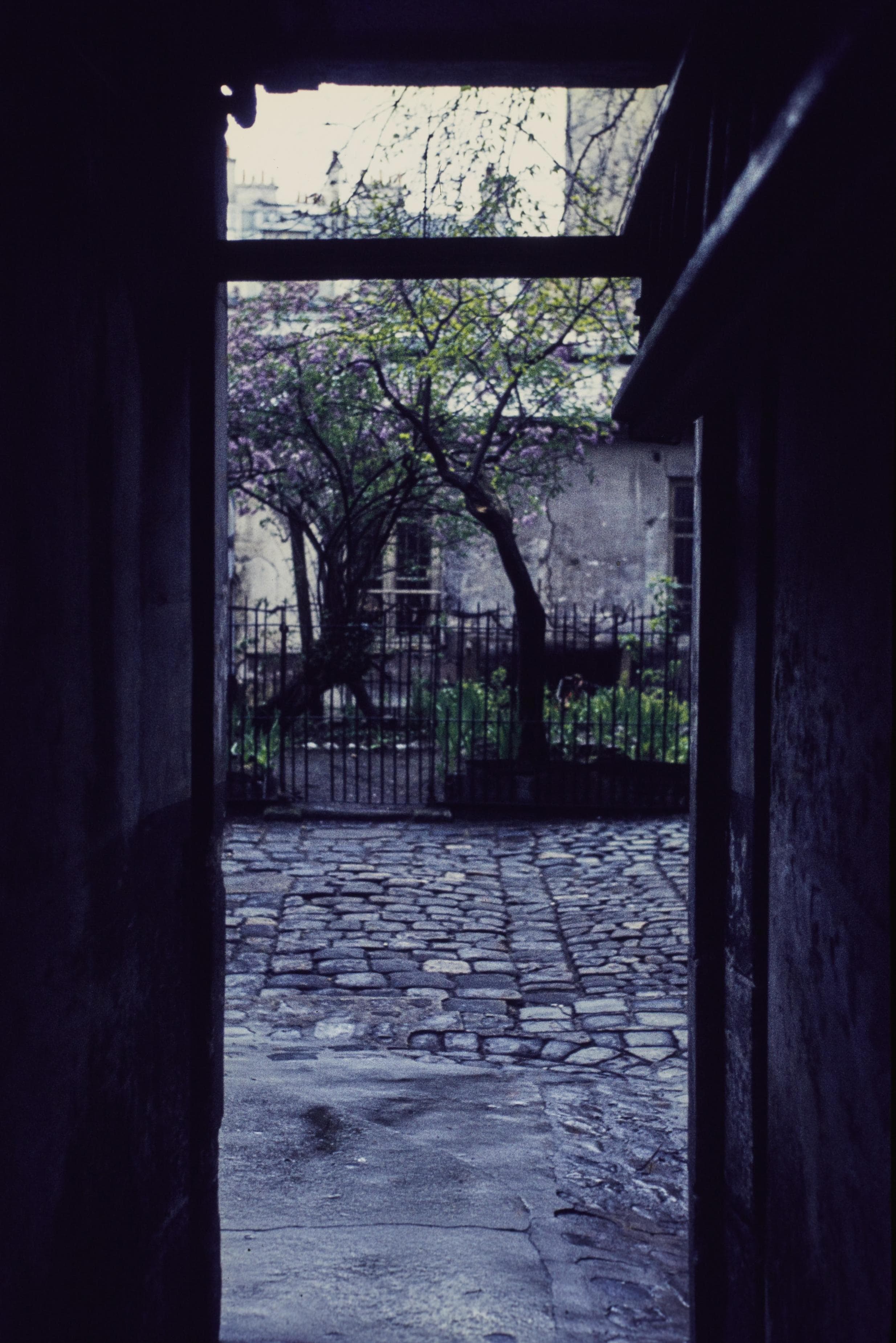Photo d'archive