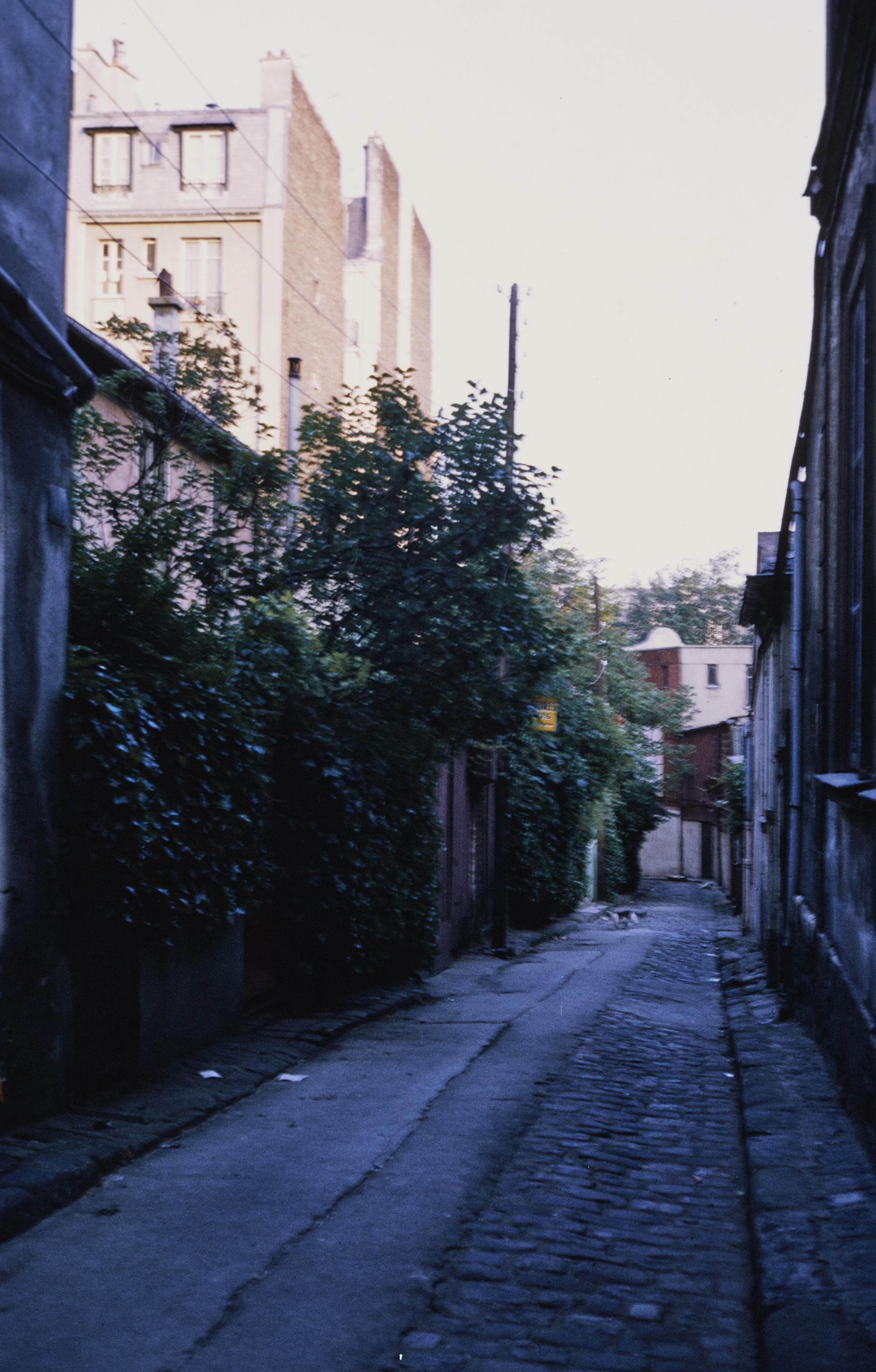 Photo d'archive