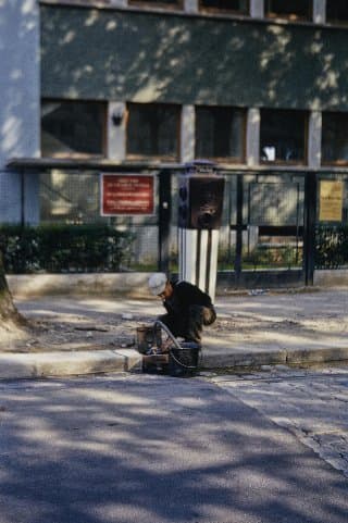 Photo d'archive