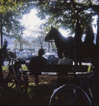 Photo d'archive