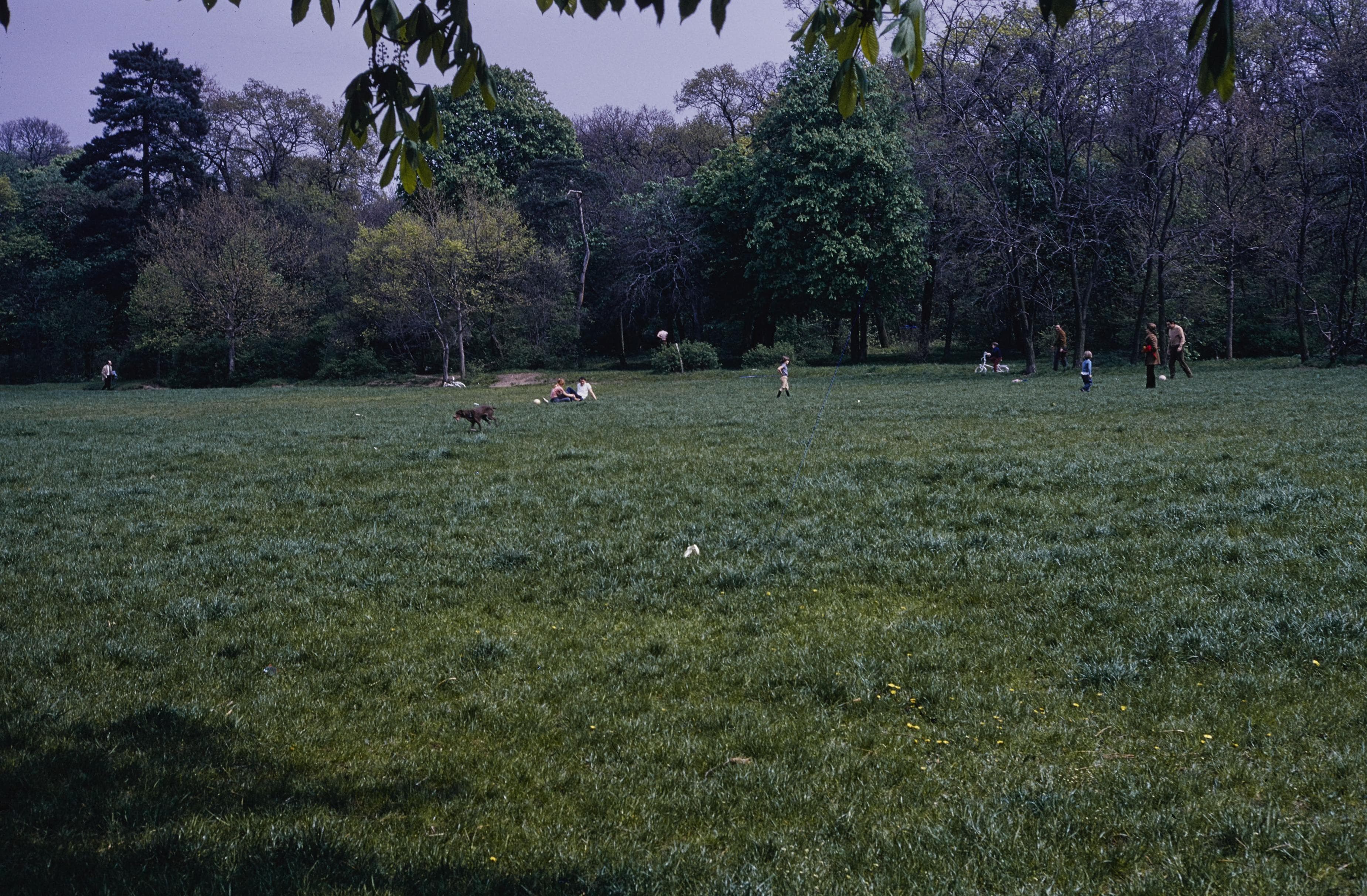 Photo d'archive