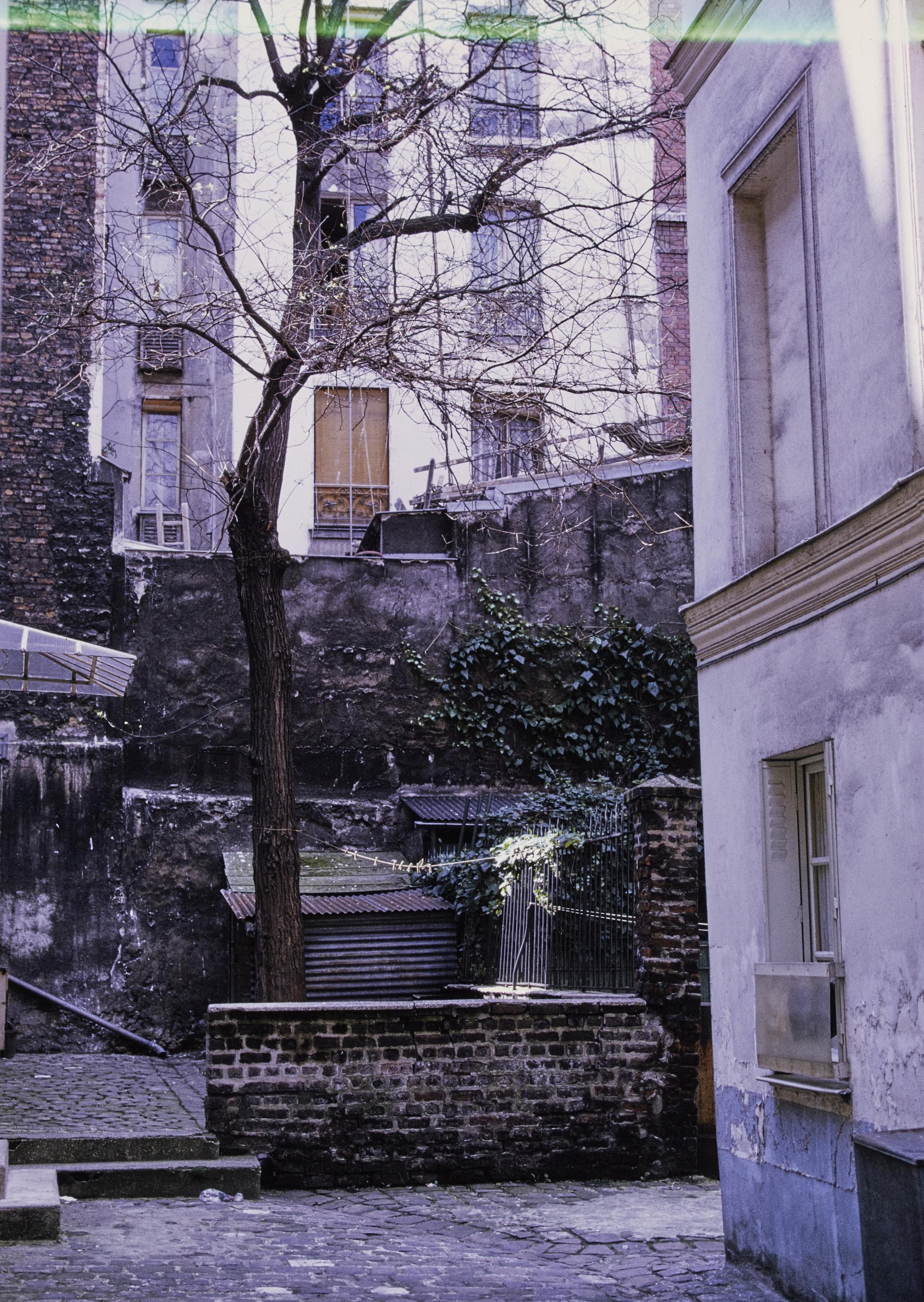 Photo d'archive