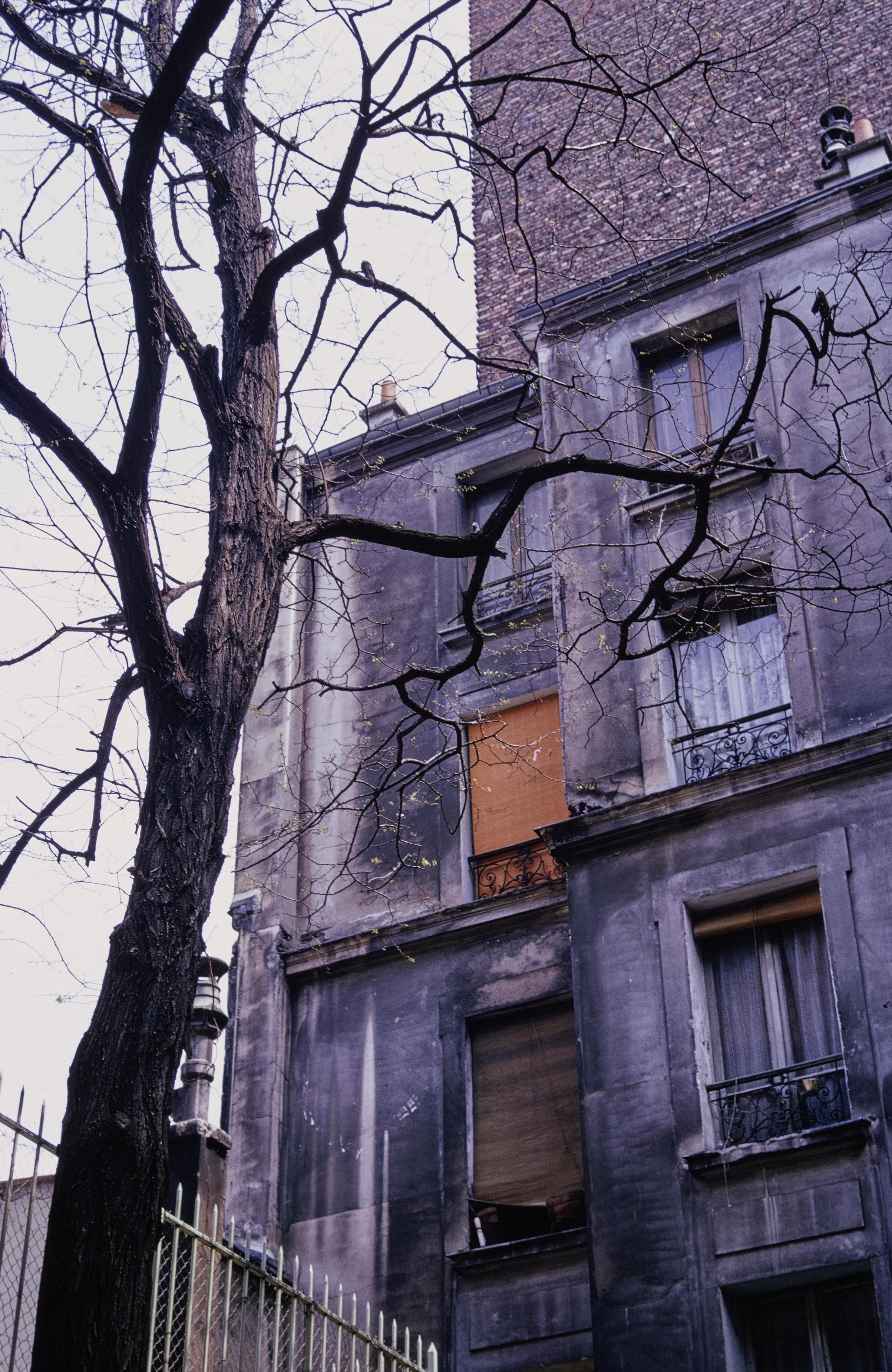Photo d'archive