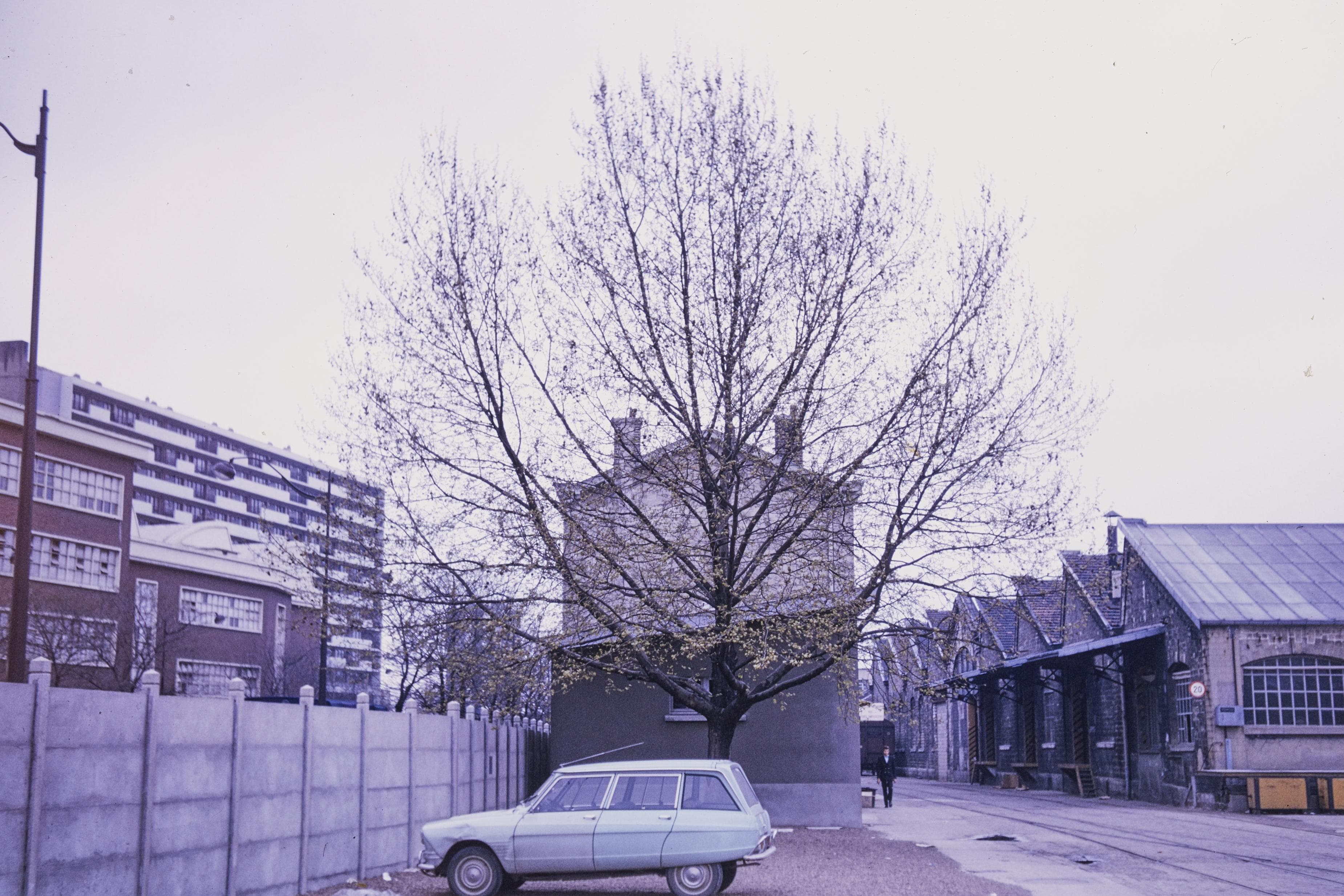 Photo d'archive