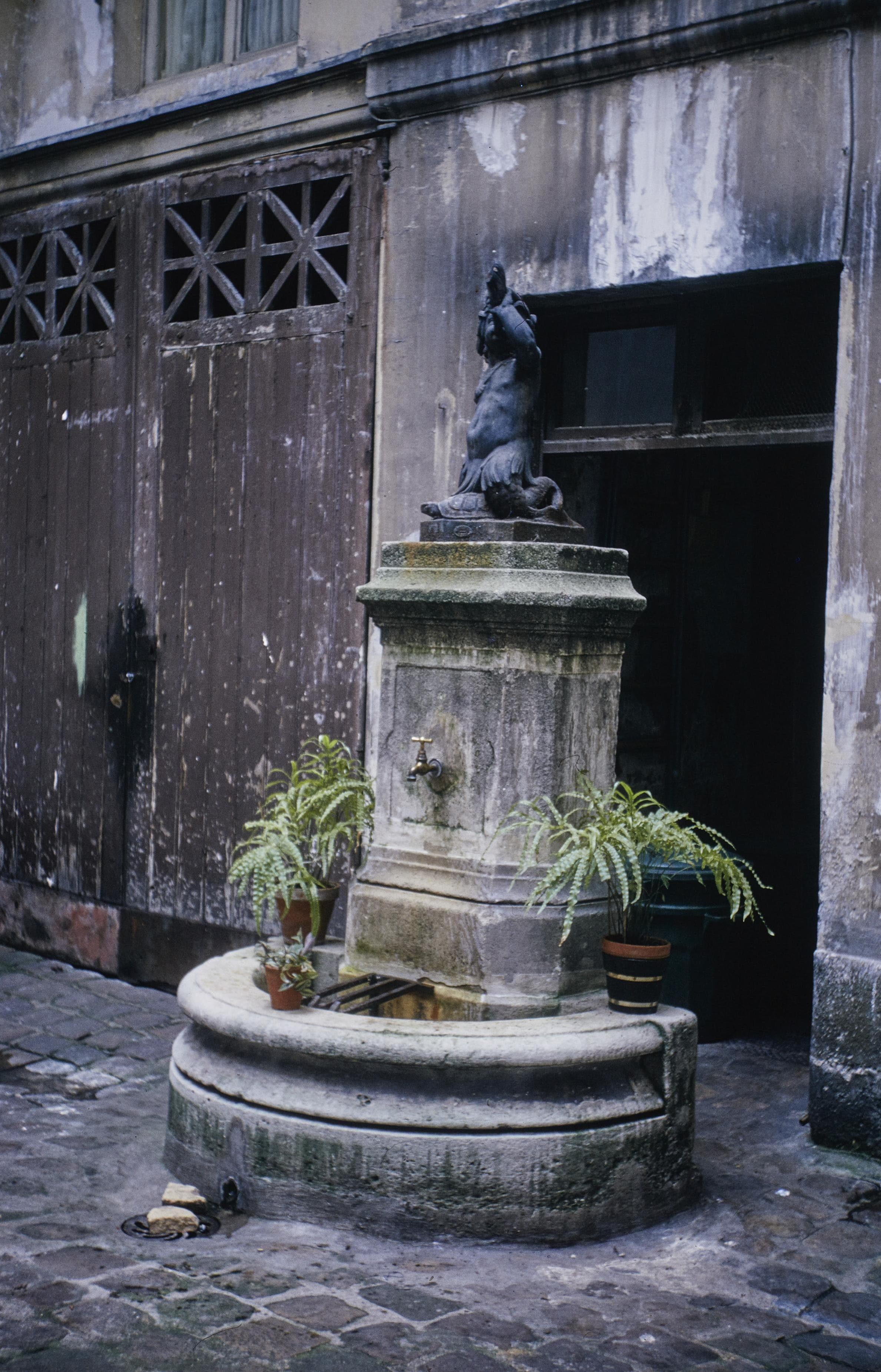 Photo d'archive