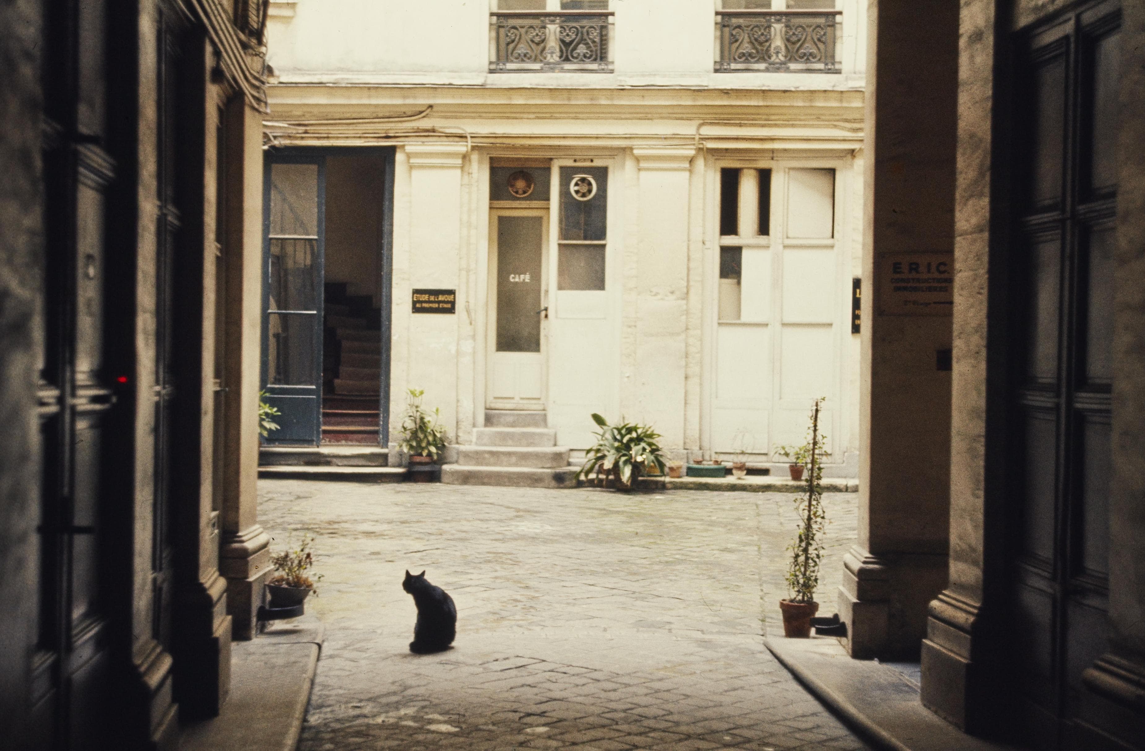 Photo d'archive
