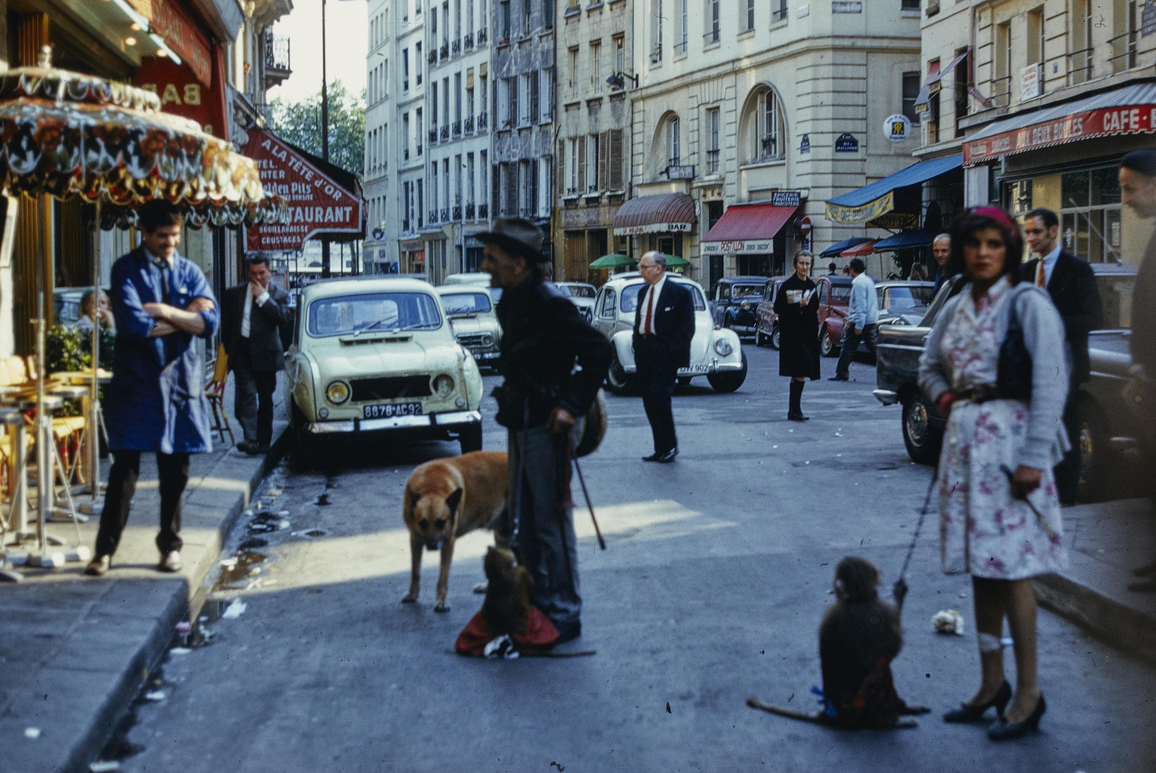 Photo d'archive