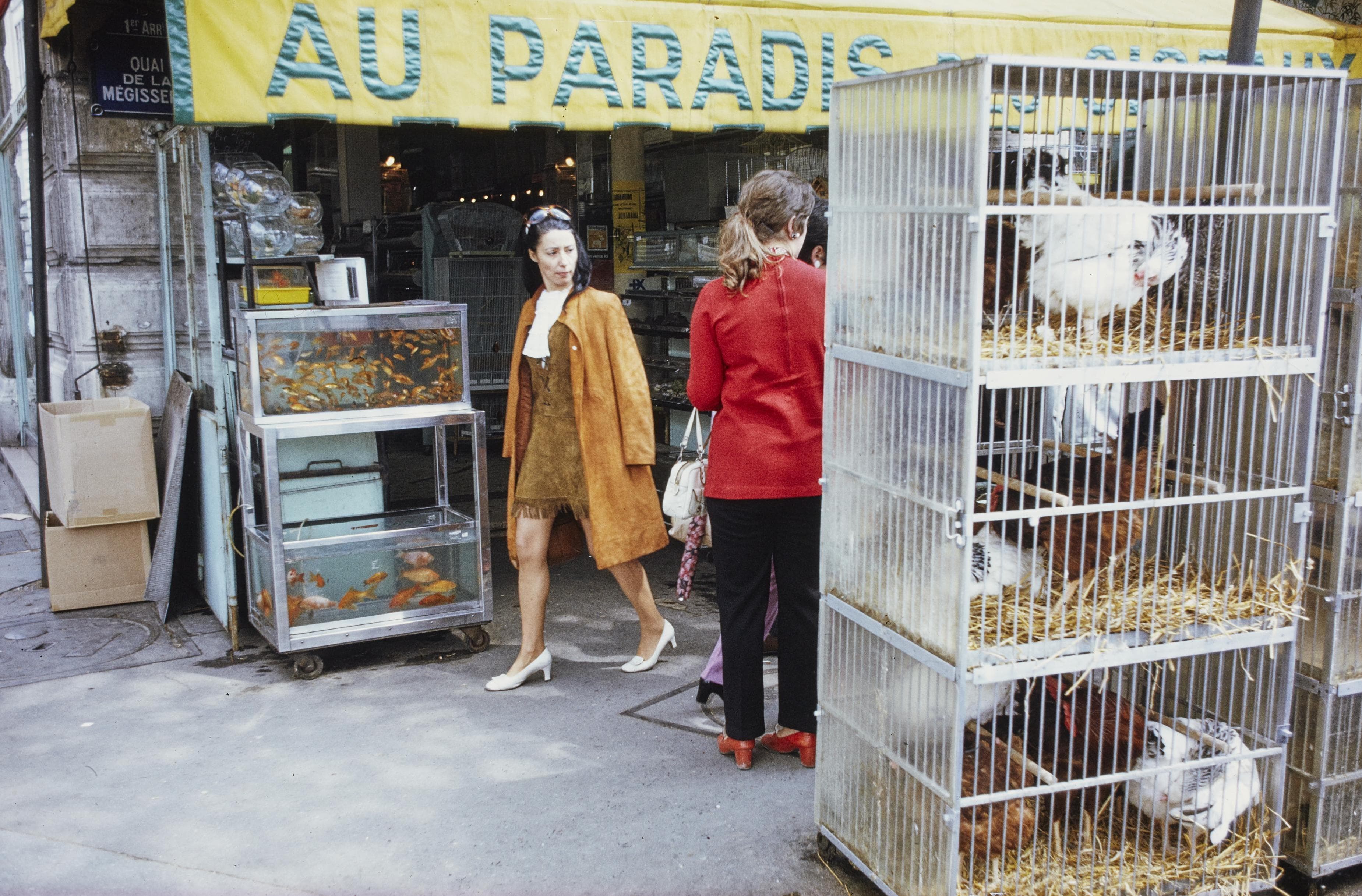 Photo d'archive