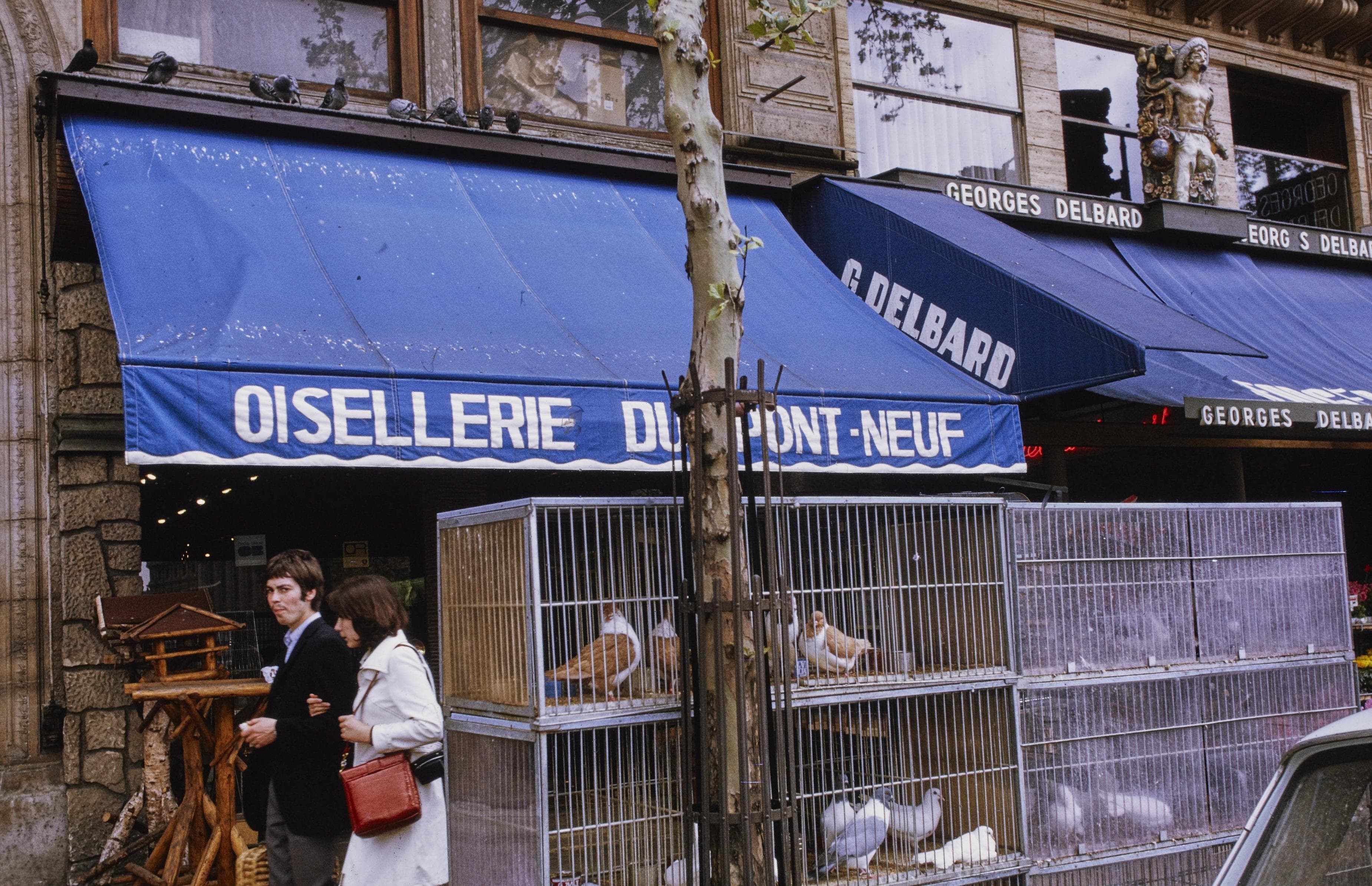 Photo d'archive