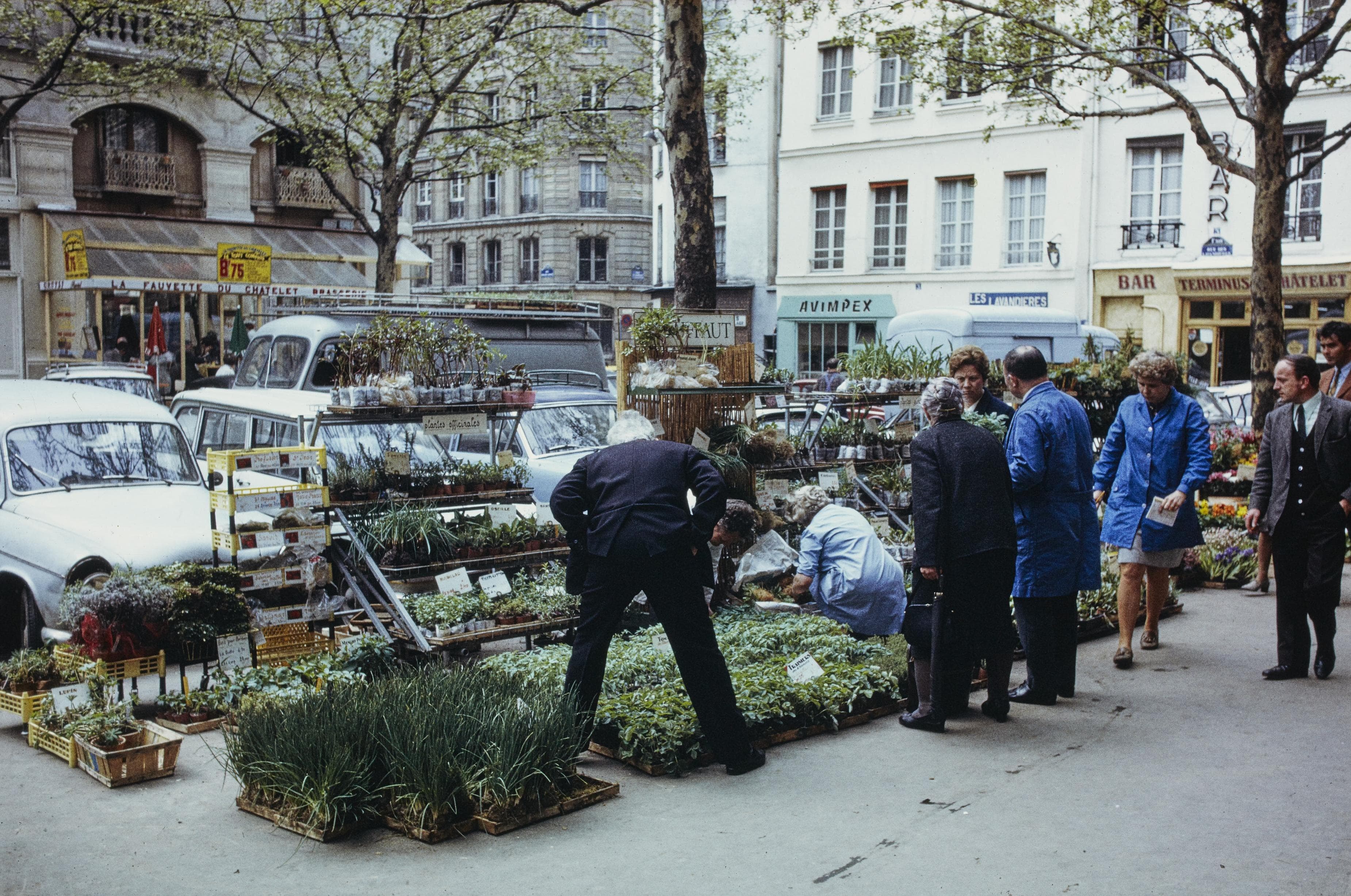 Photo d'archive