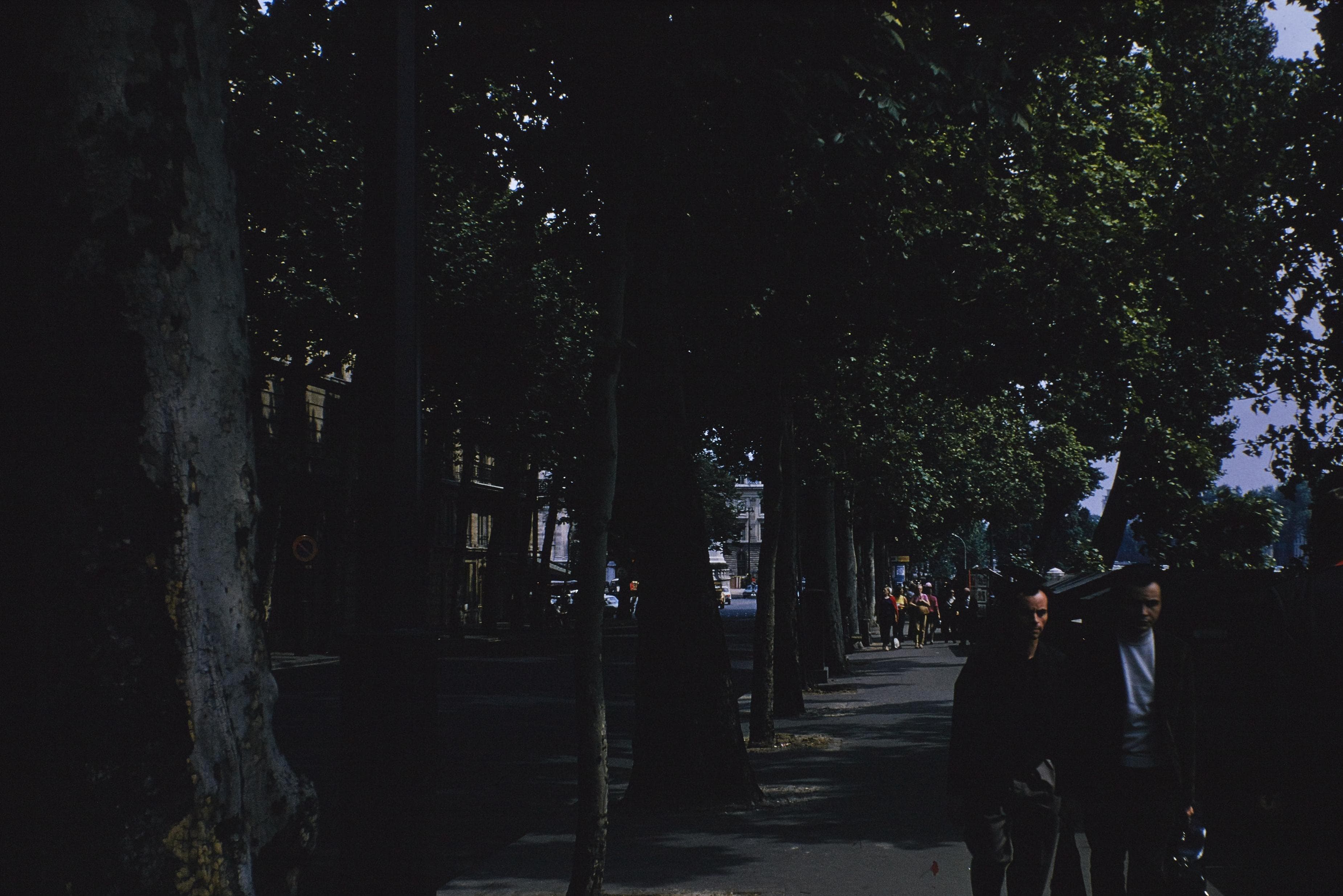 Photo d'archive
