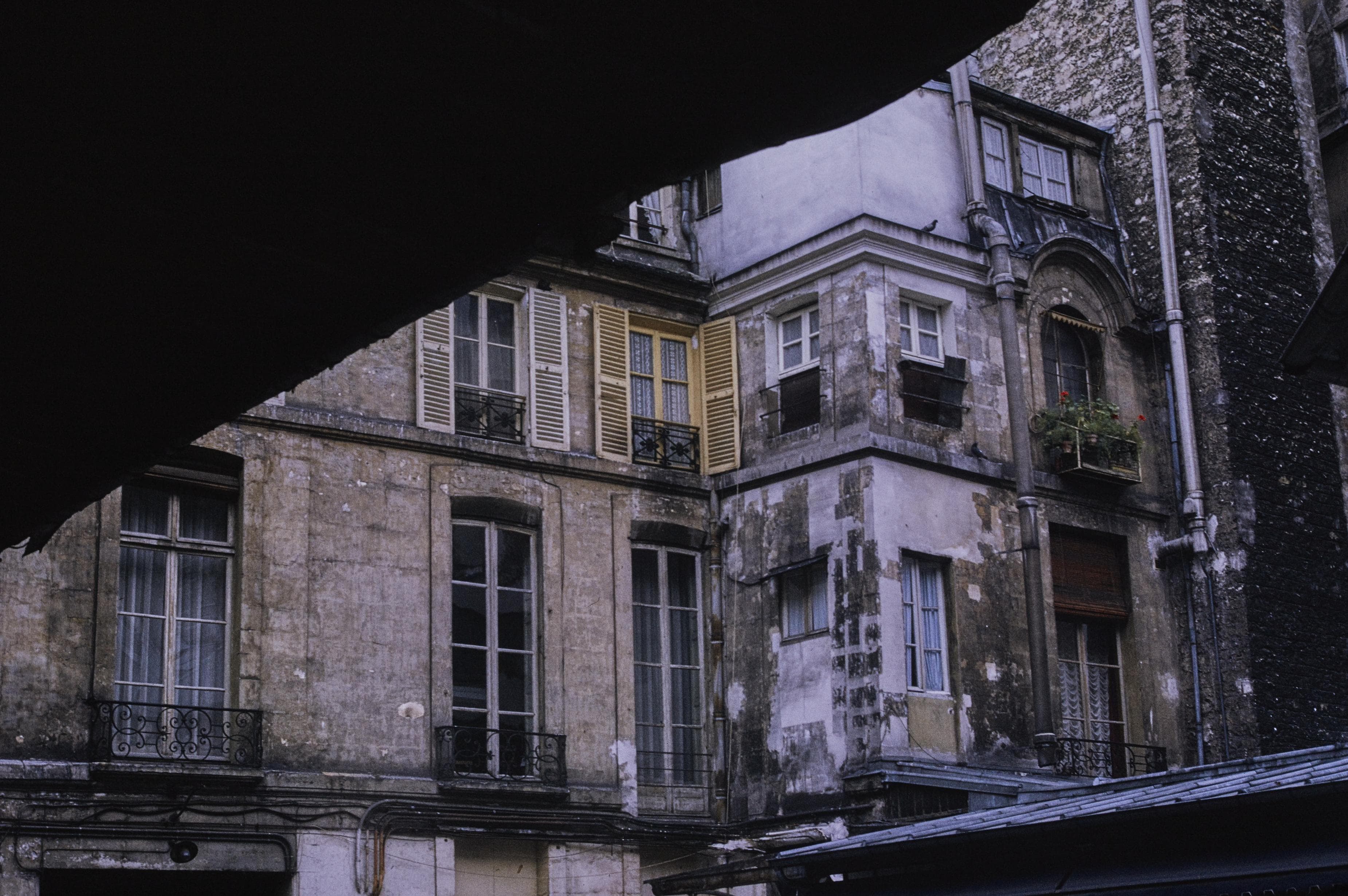 Photo d'archive
