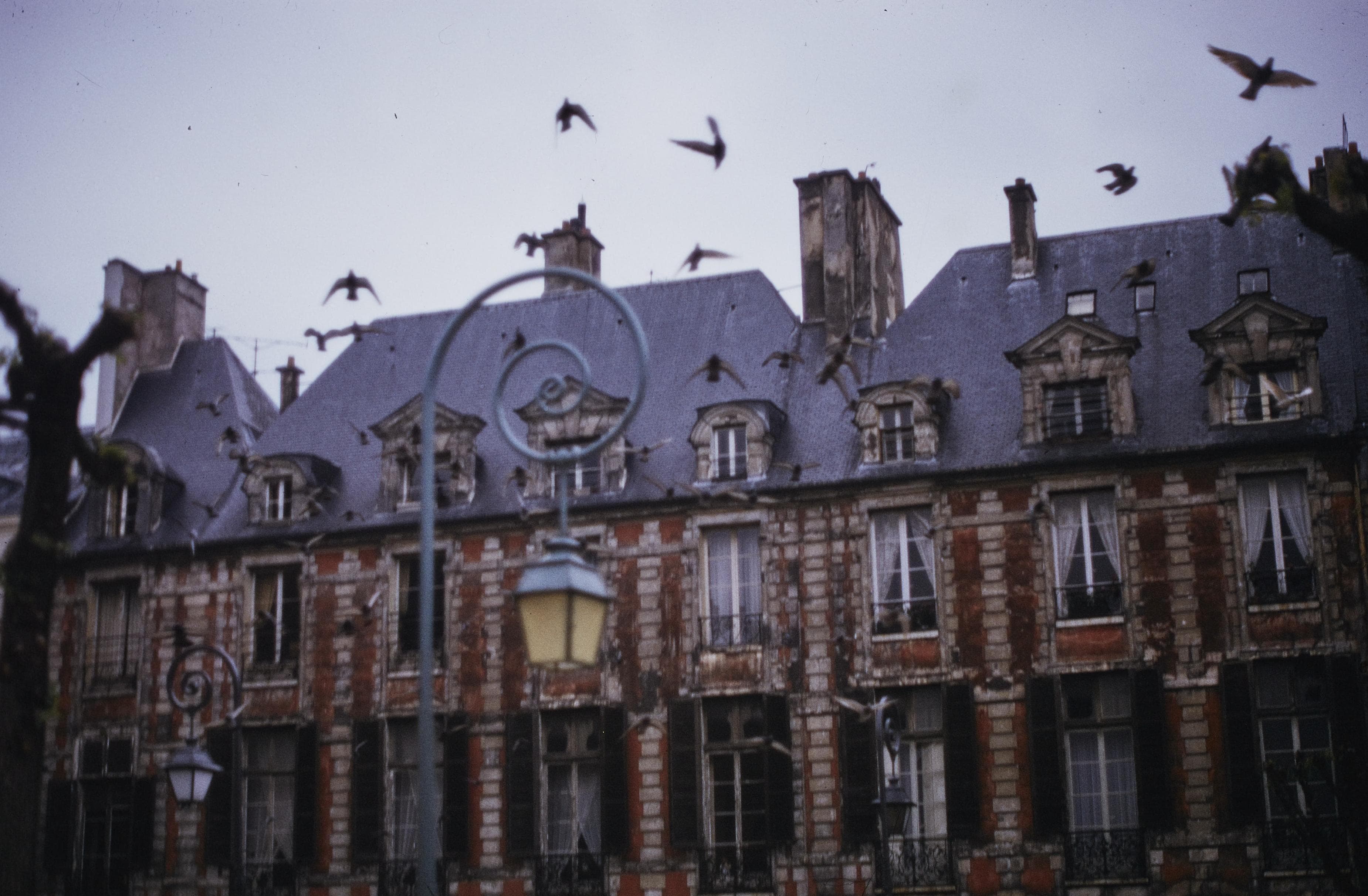 Photo d'archive