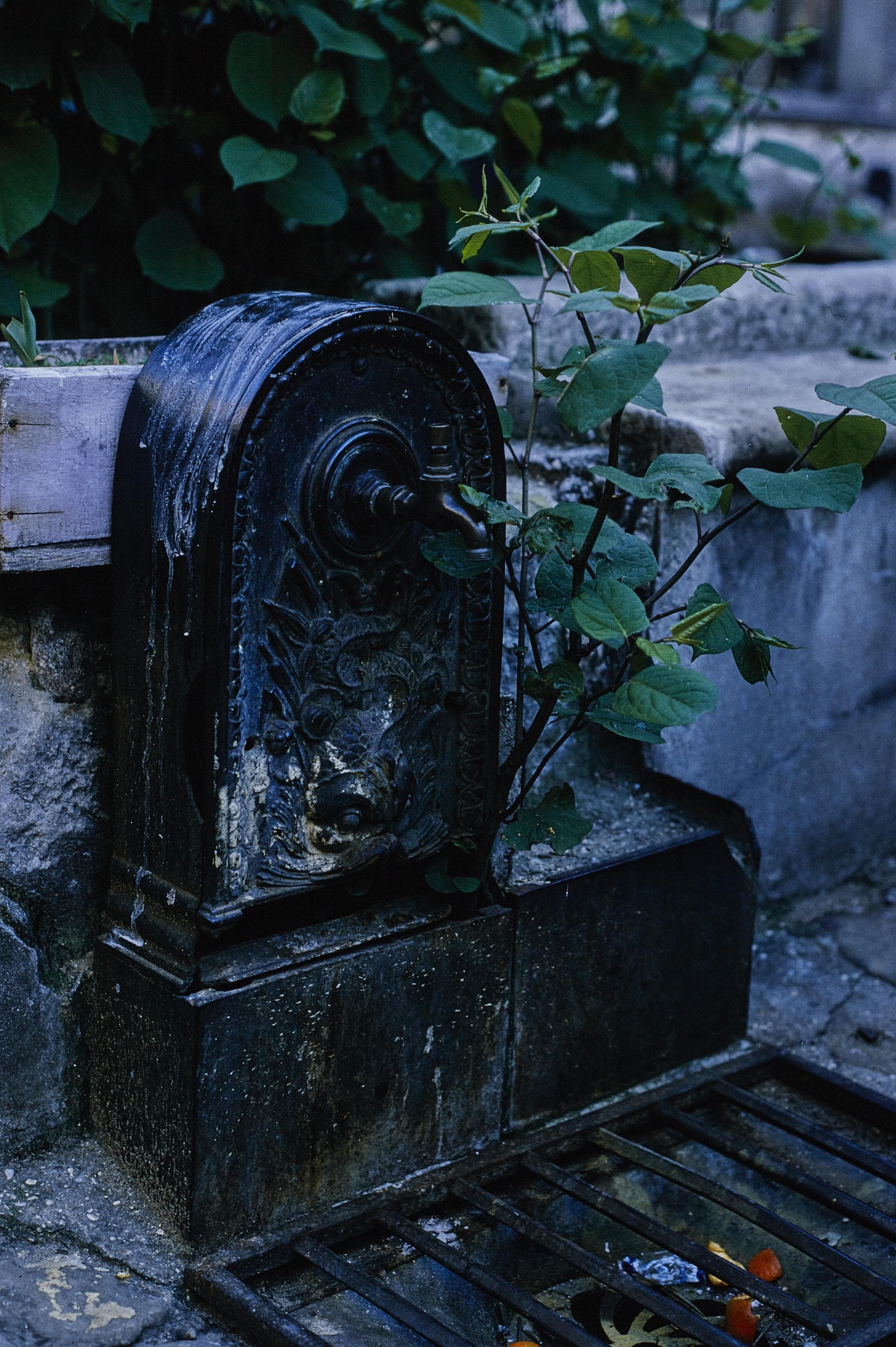 Photo d'archive