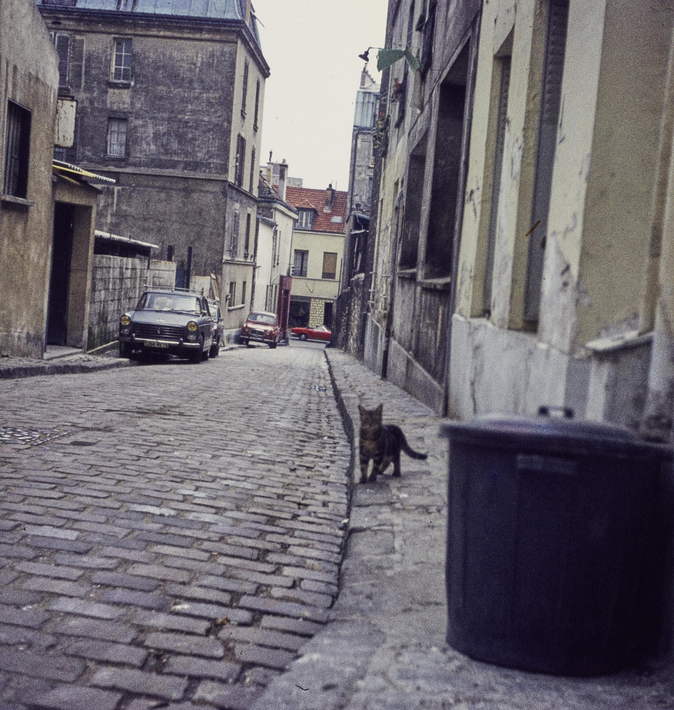 Photo d'archive