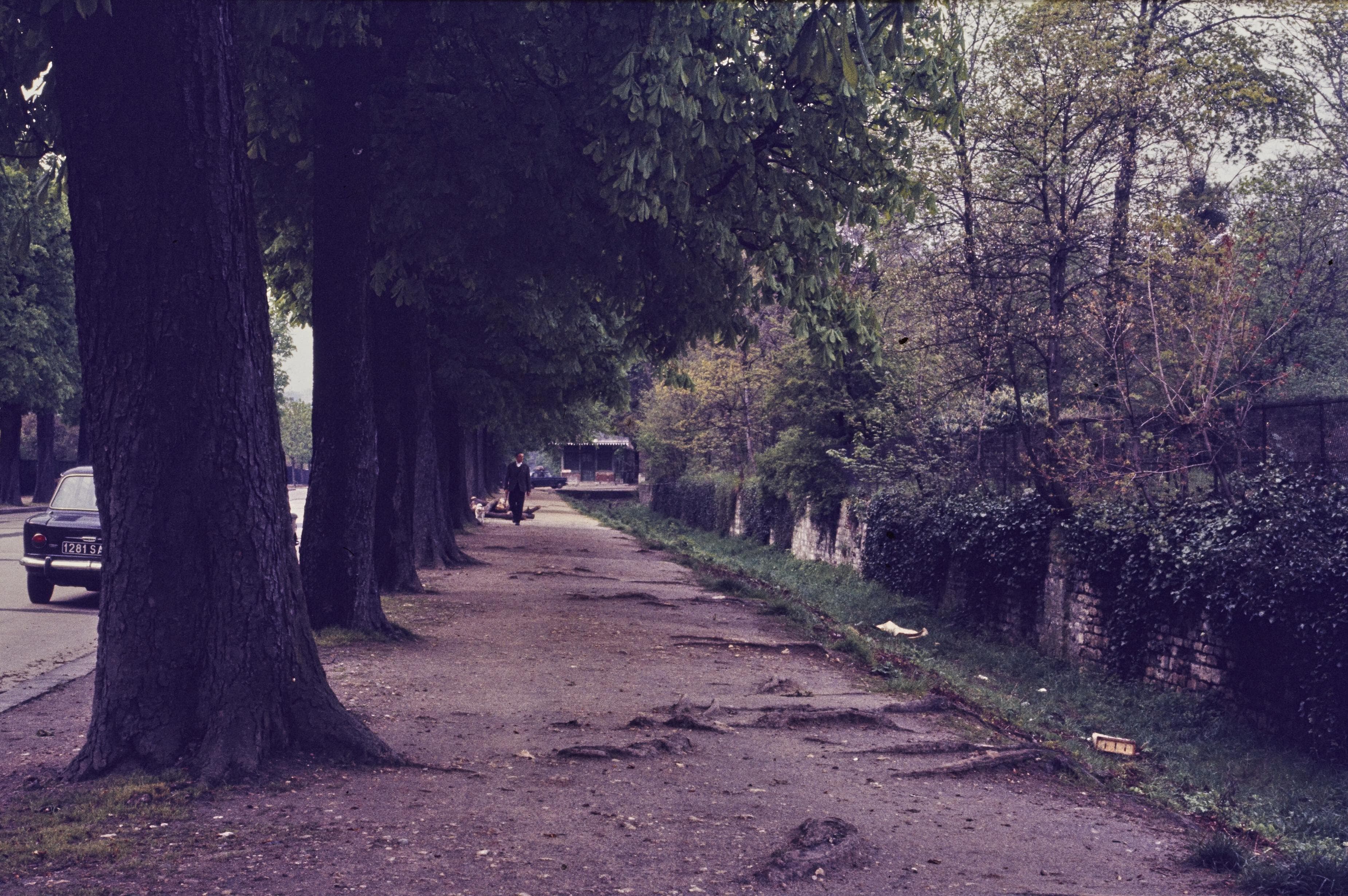 Photo d'archive
