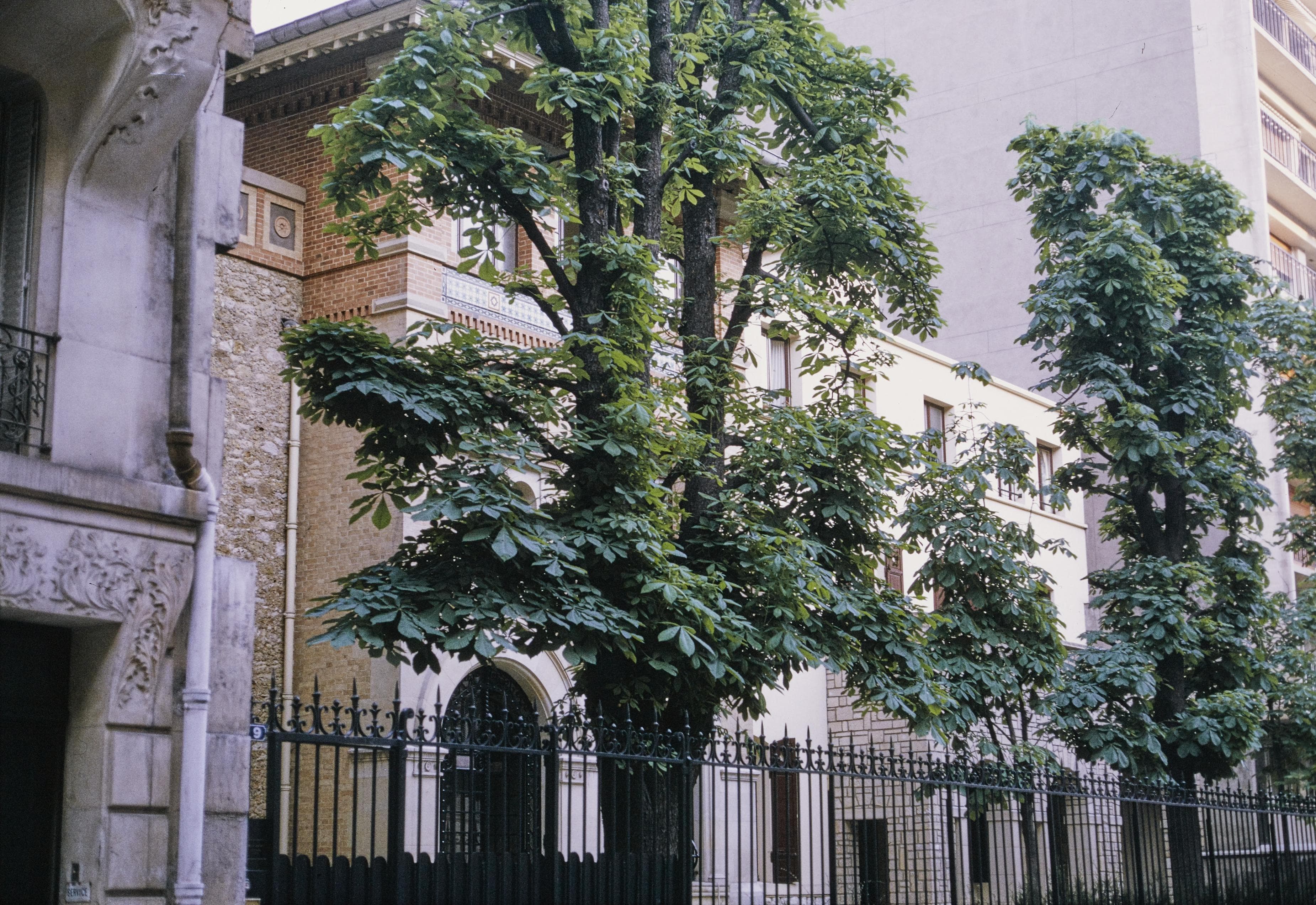 Photo d'archive